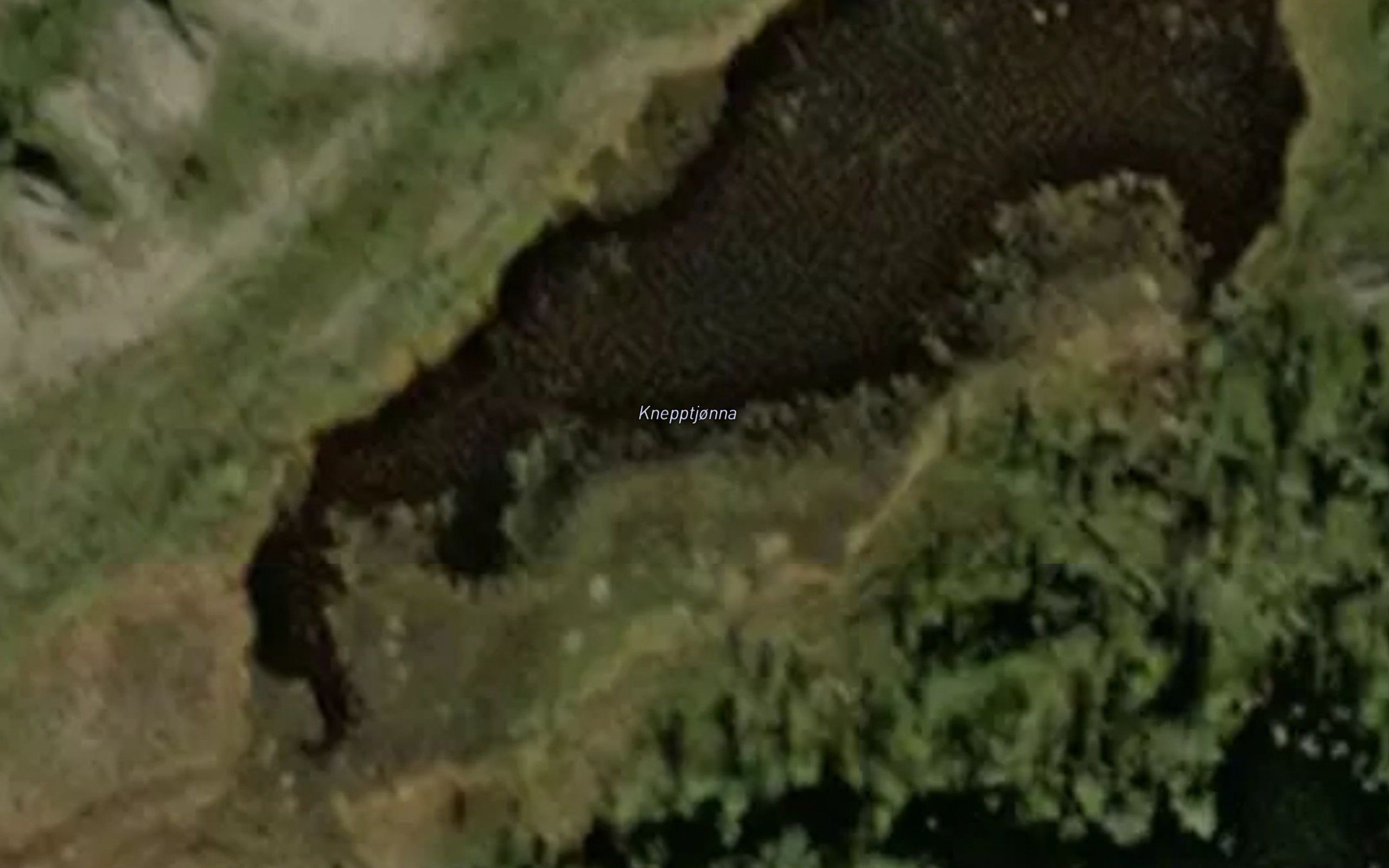 Knepptjorna