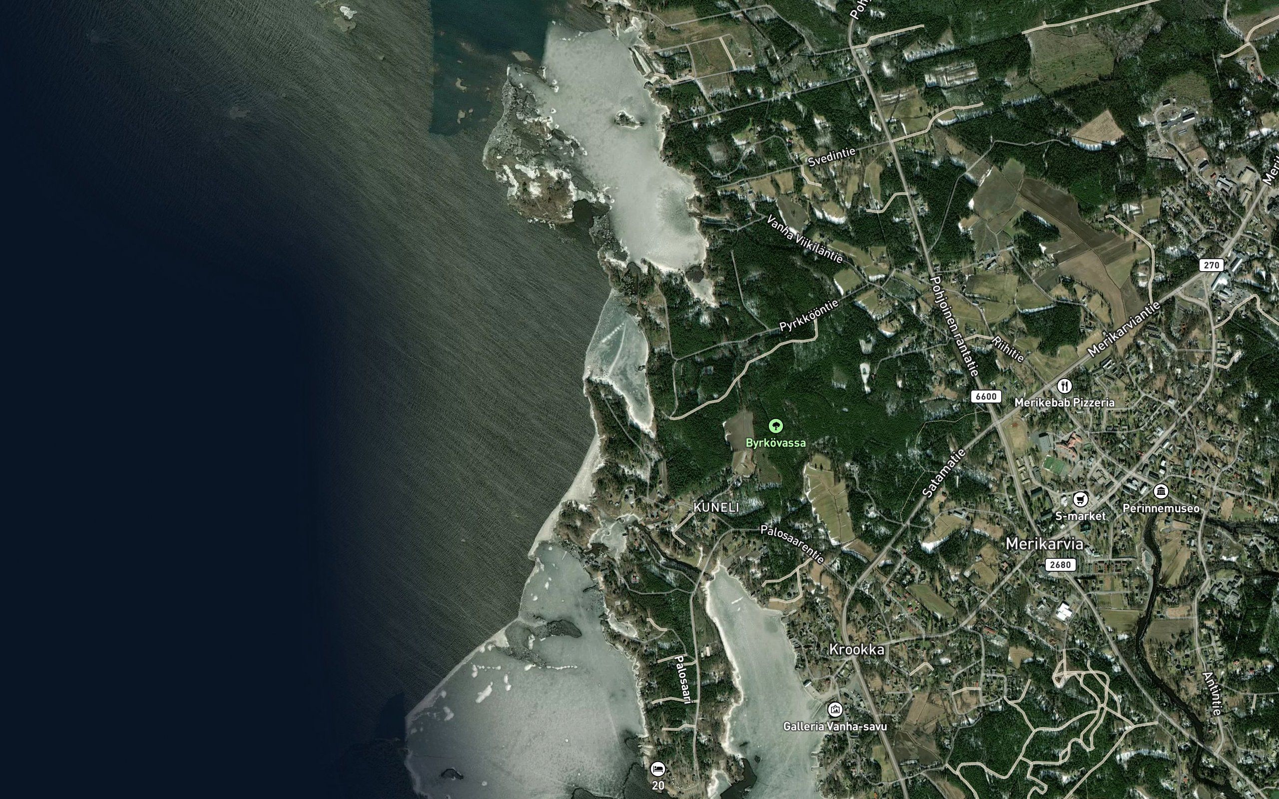 Ringloonviiki