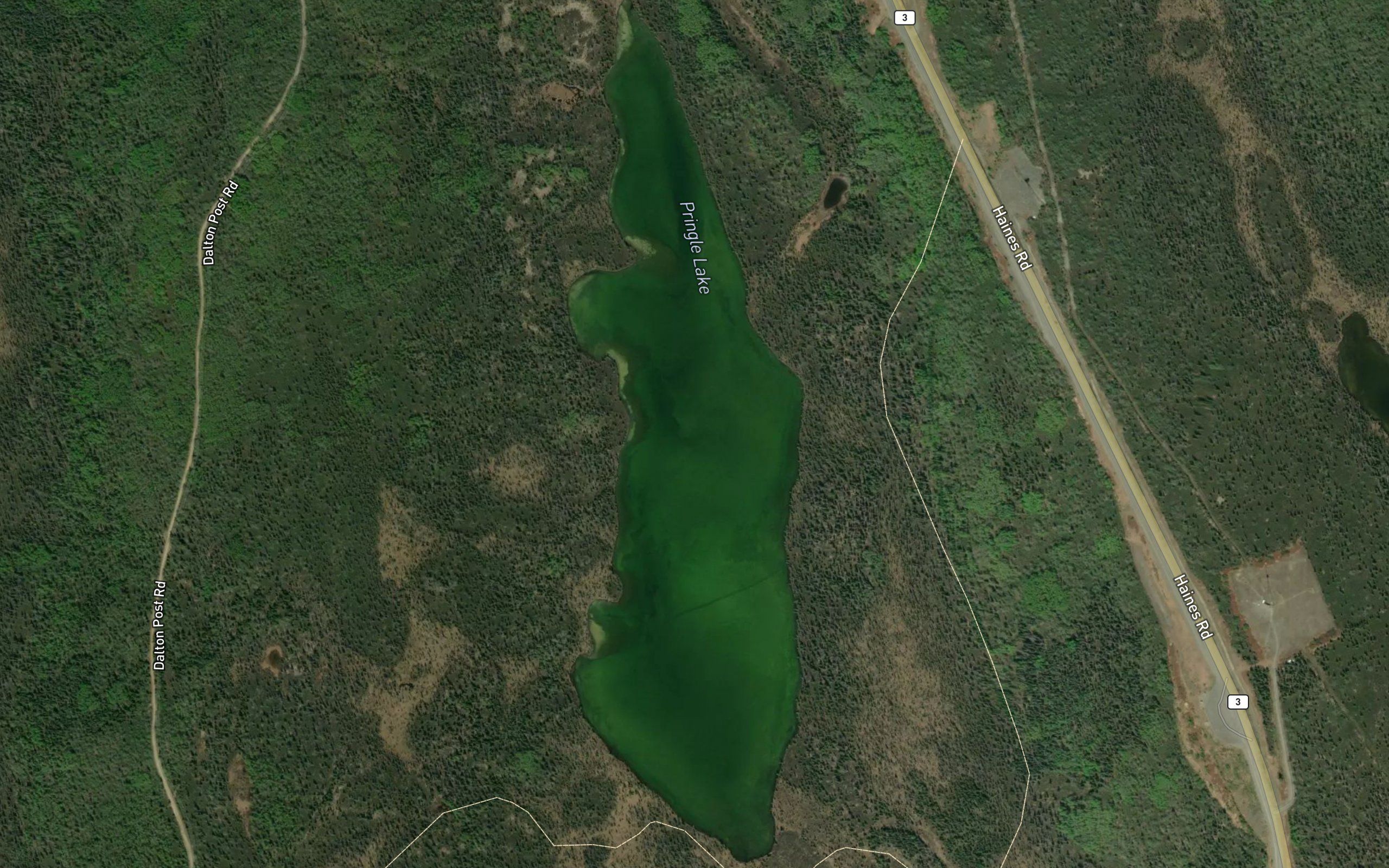 Pringle Lake