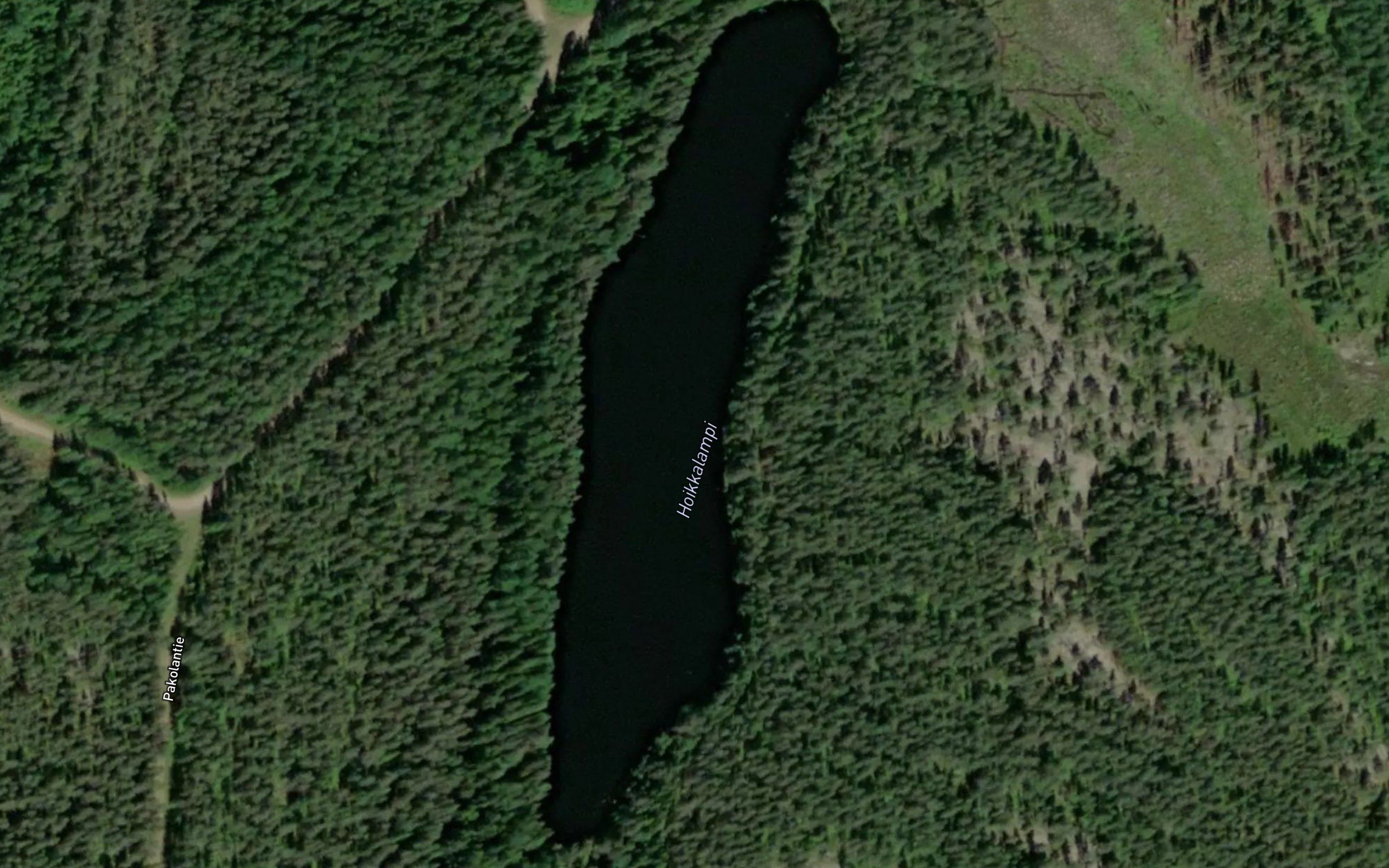 Hoikkalampi