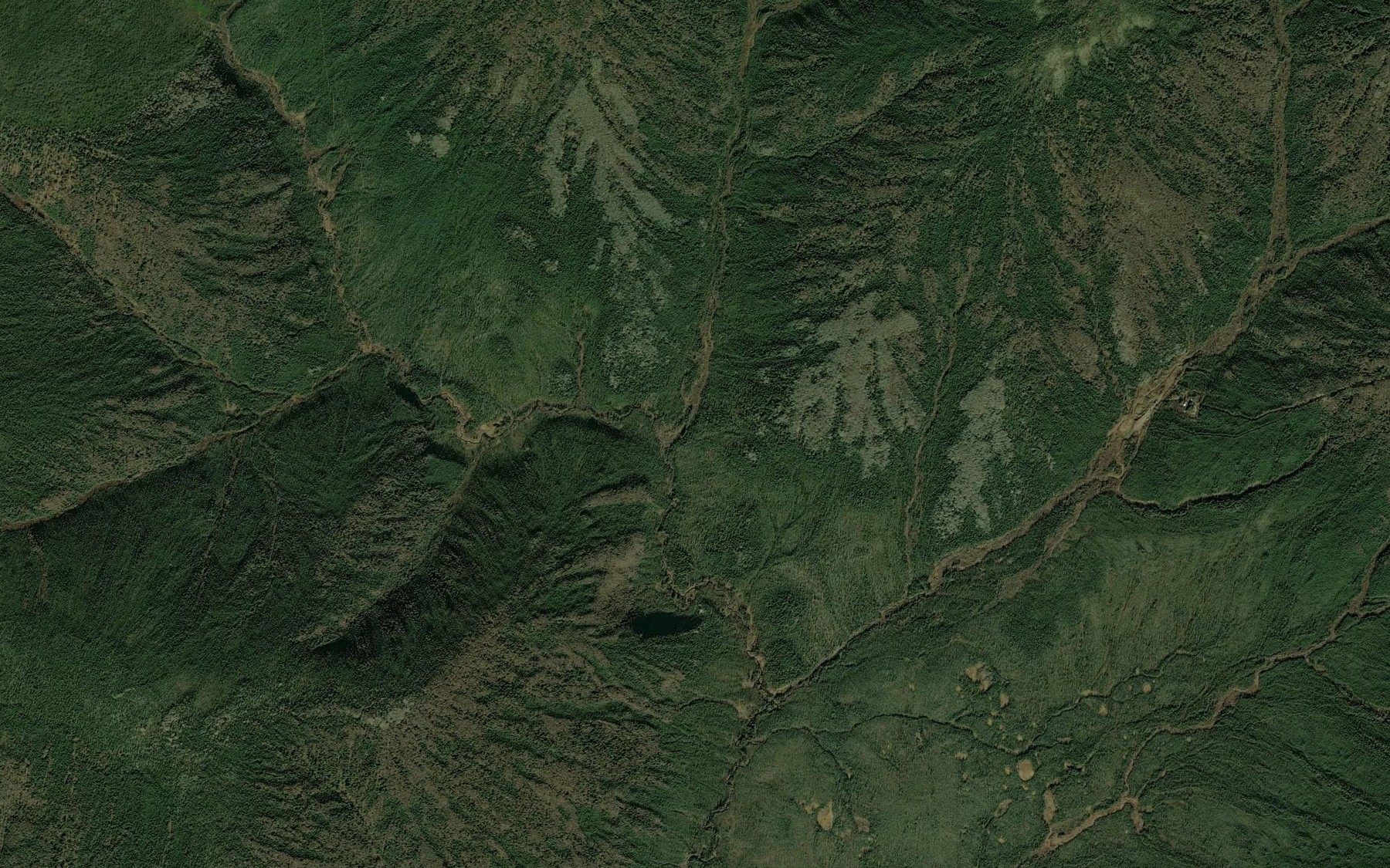 Satellite map of the Lion Creek