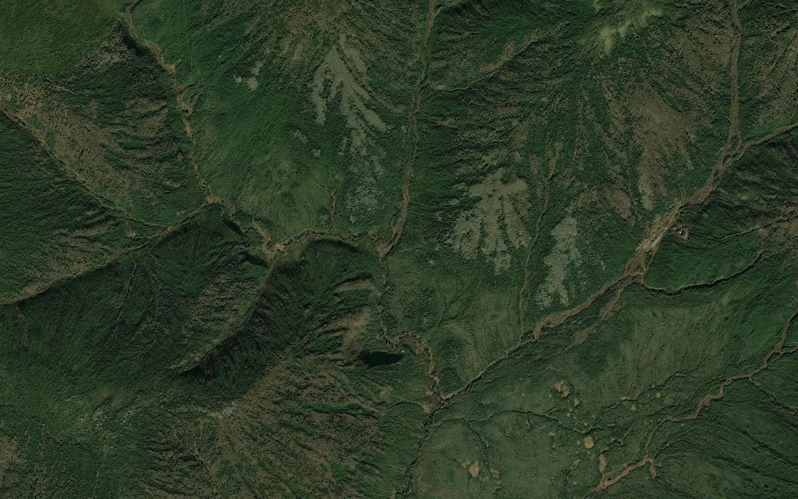 Lion Creek
