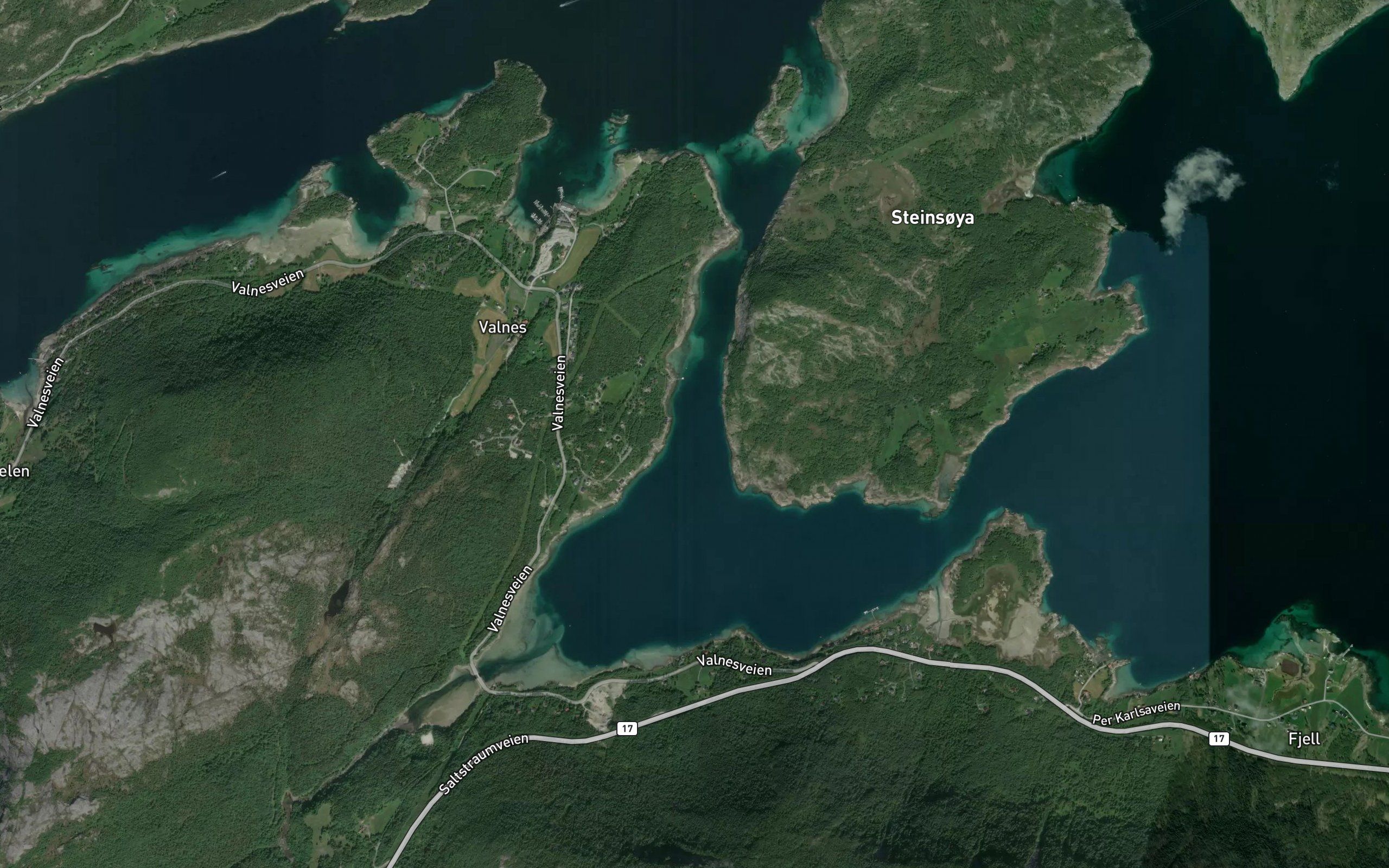 Trongsmauget