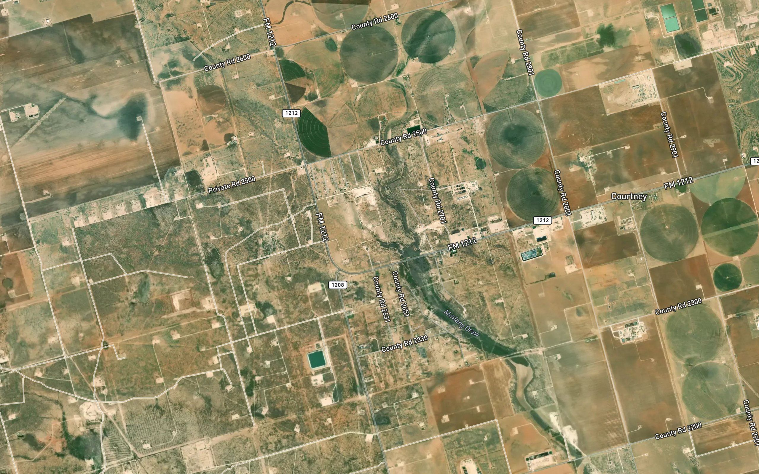 Mustang Spring