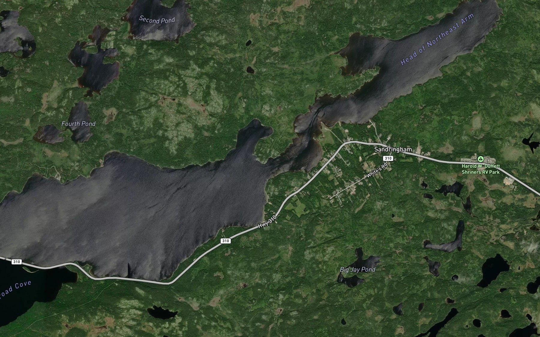 Satellite map of the Goose Tickle