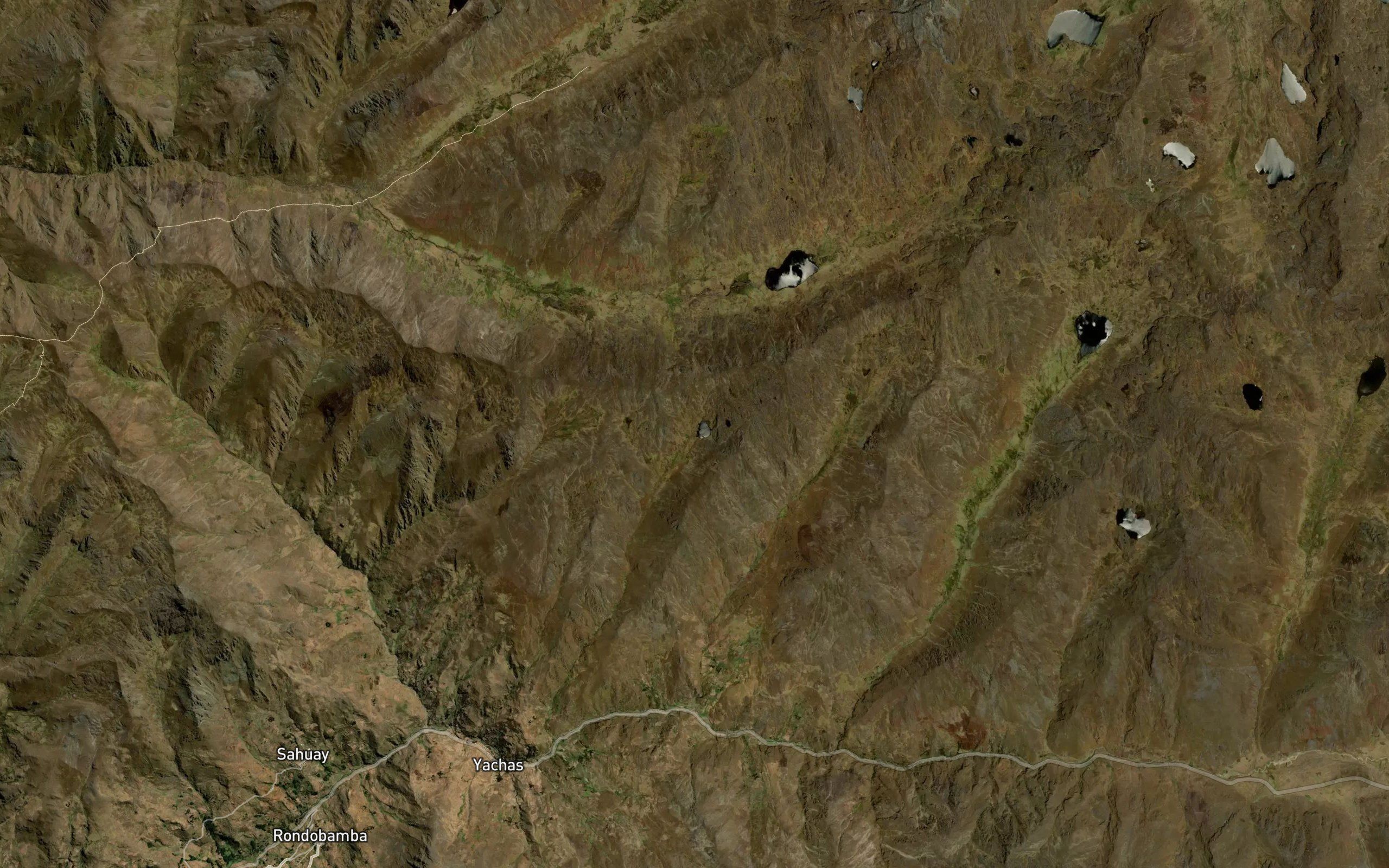 Laguna Pucacocha
