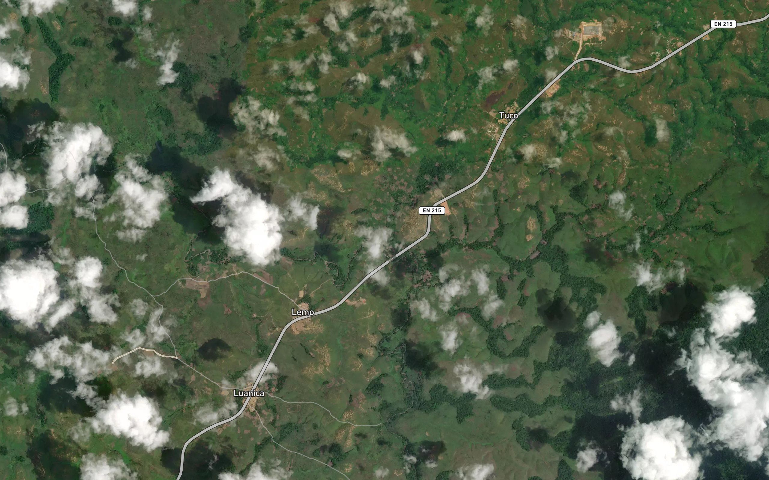 Lutungi