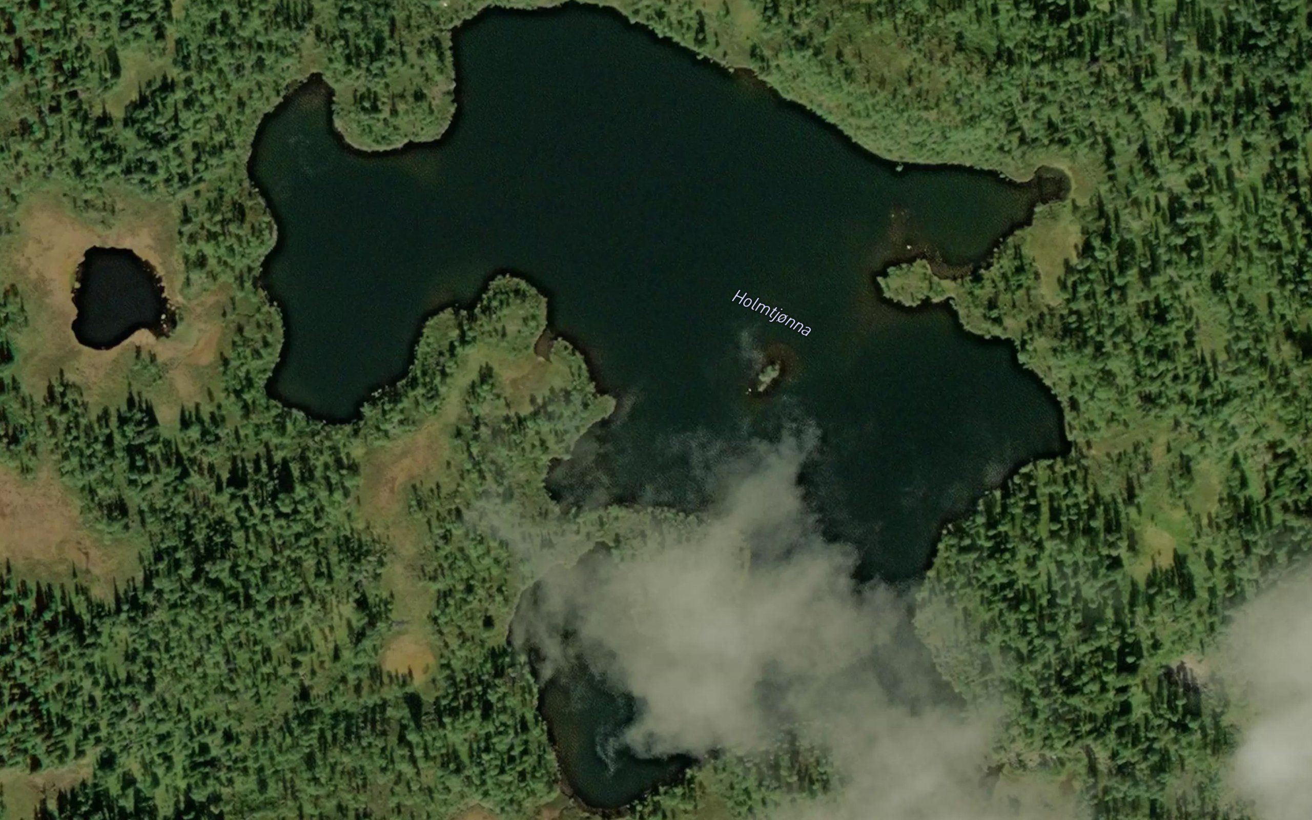 Holmtjorna