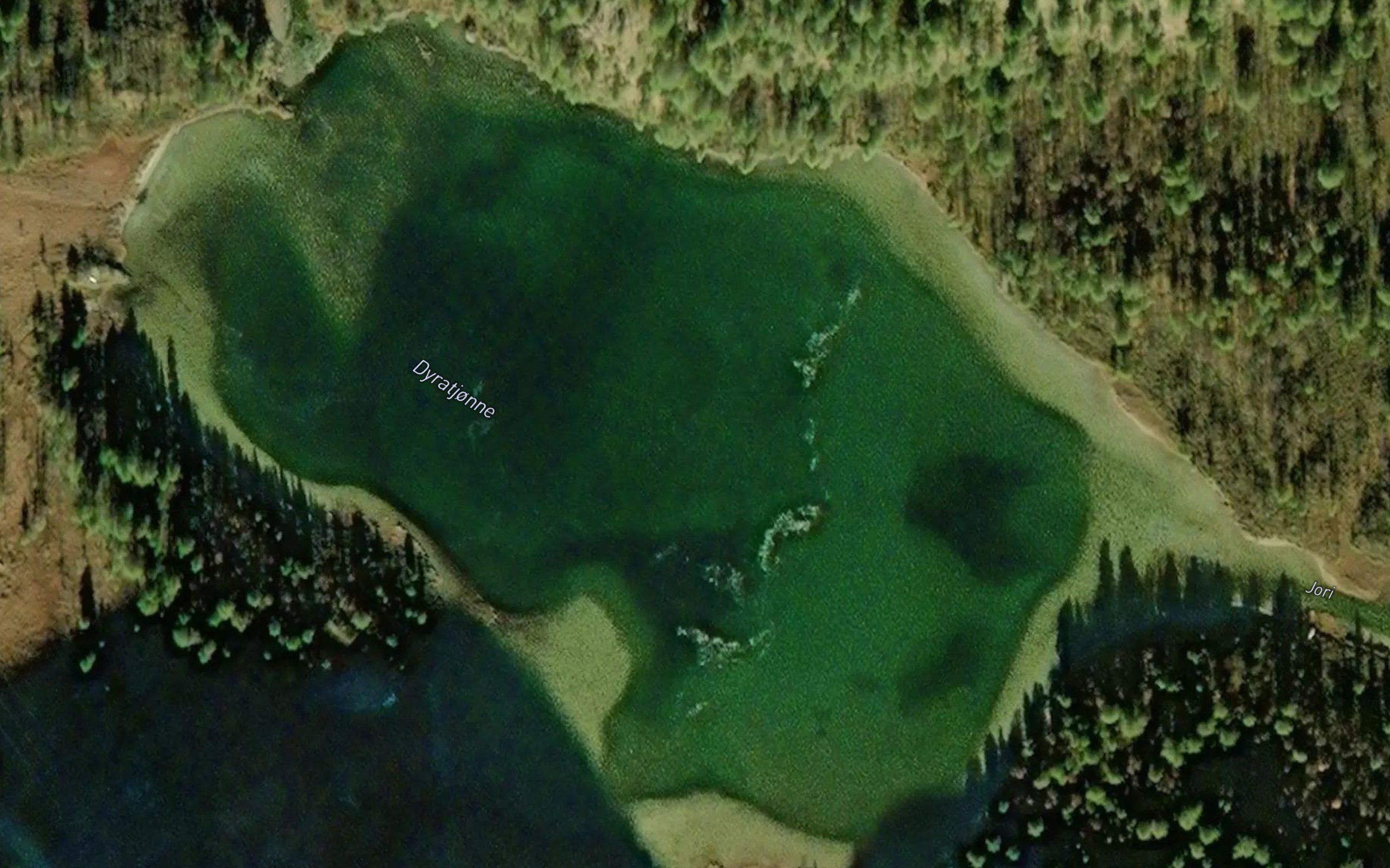 Dyratjonnet