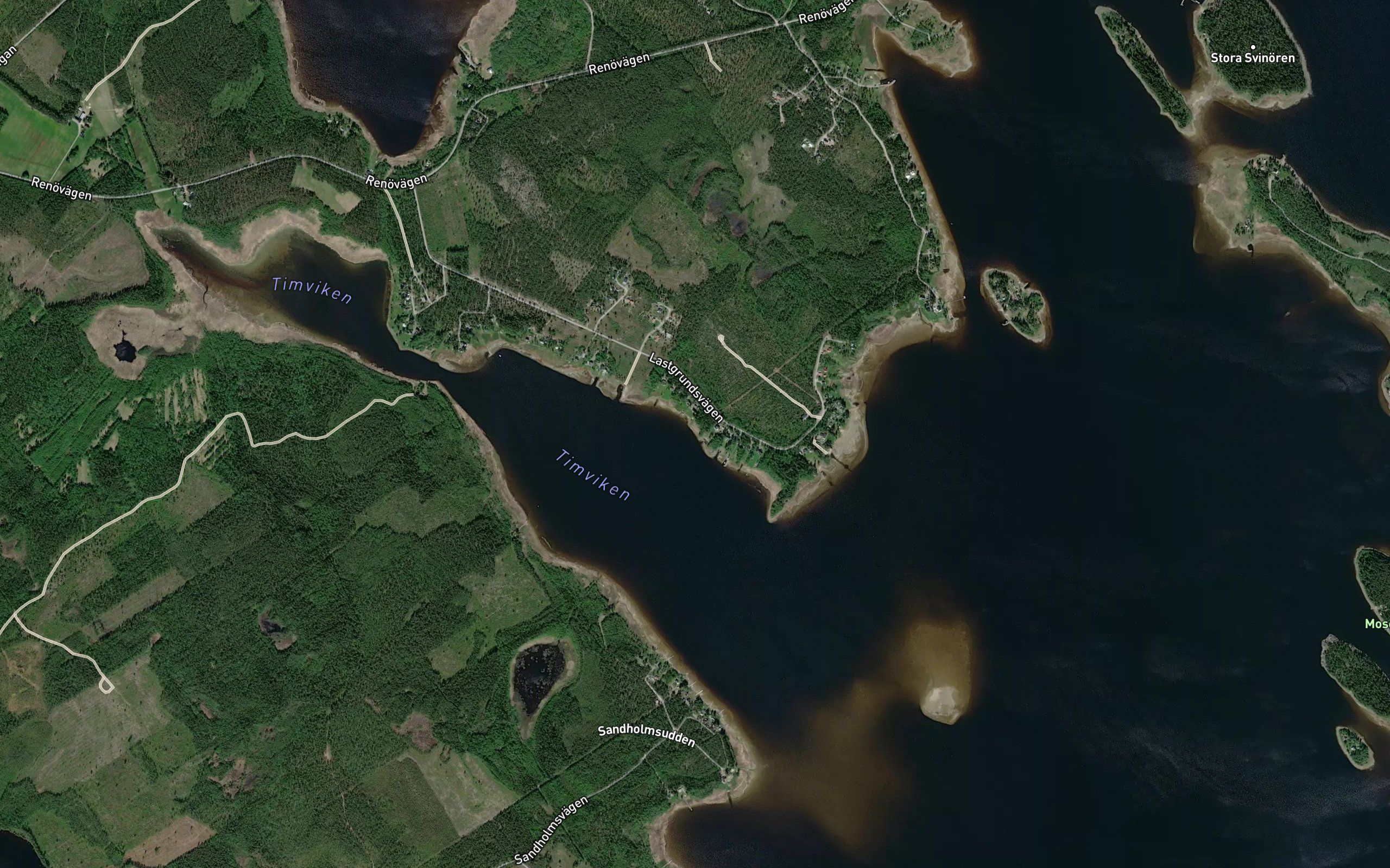 Timviken