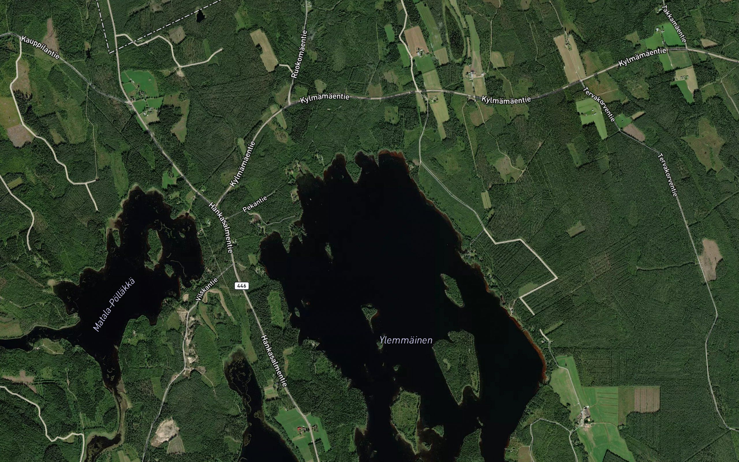 Haukiselka