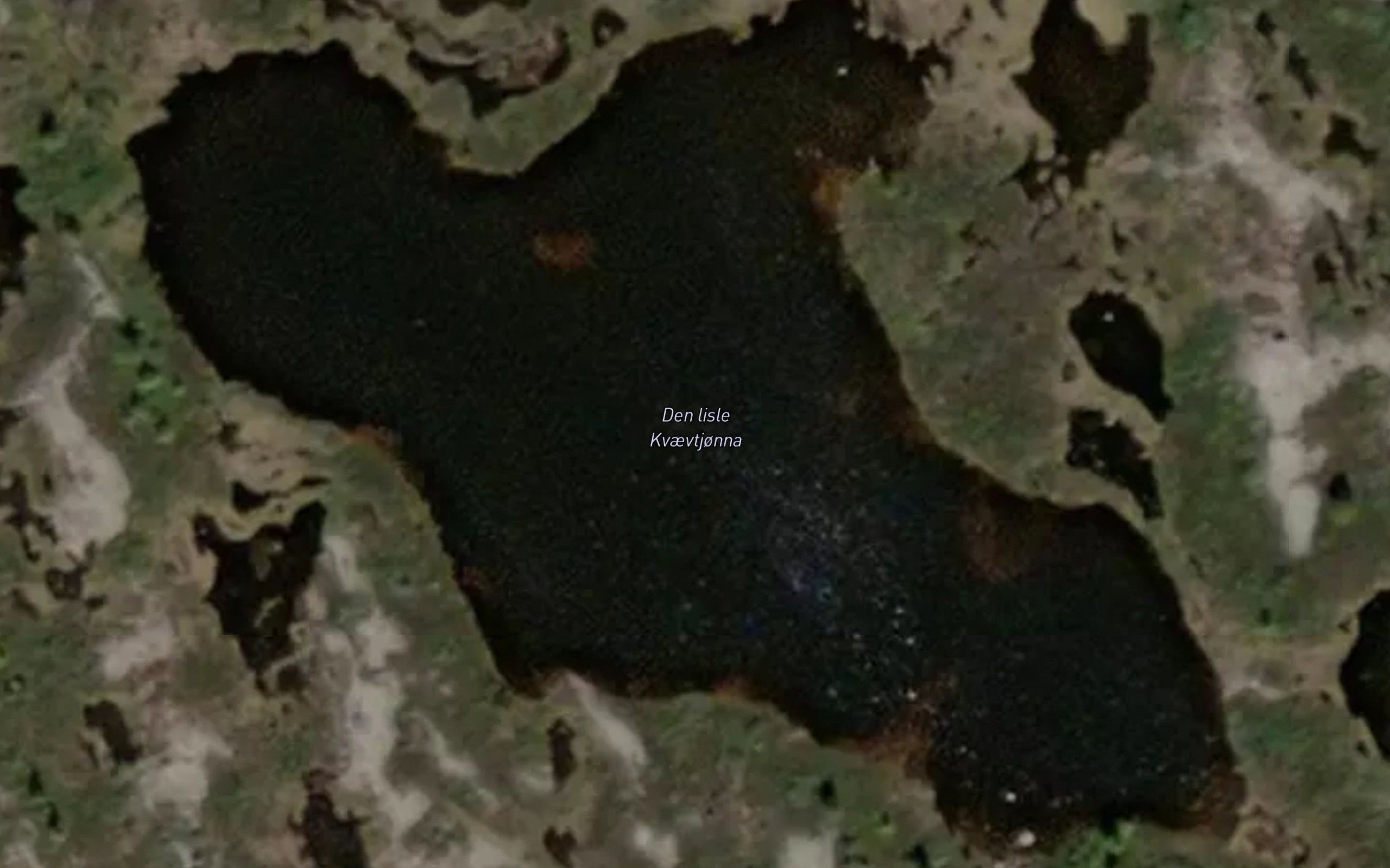 Den lisle Kvaevtjonna