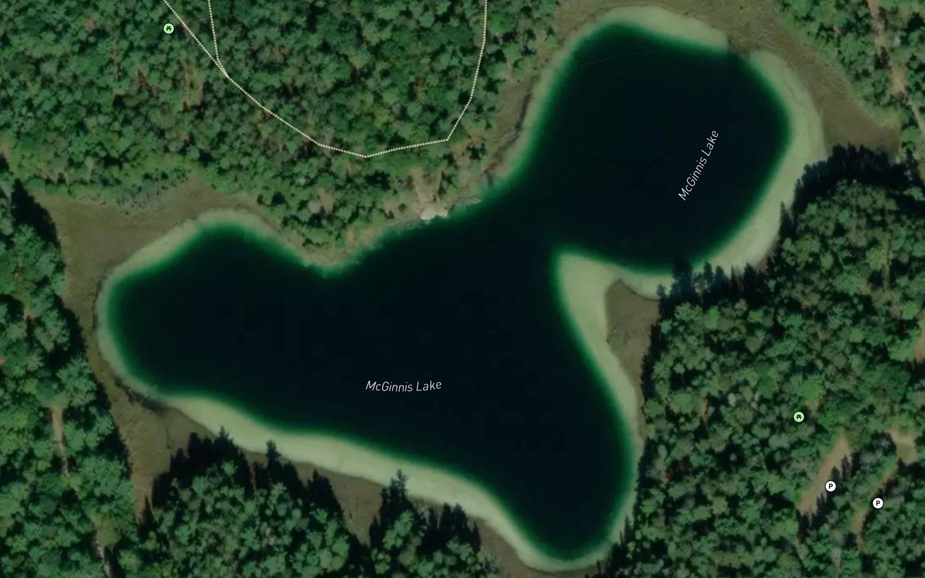 Satellite map of the McGinnis Lake