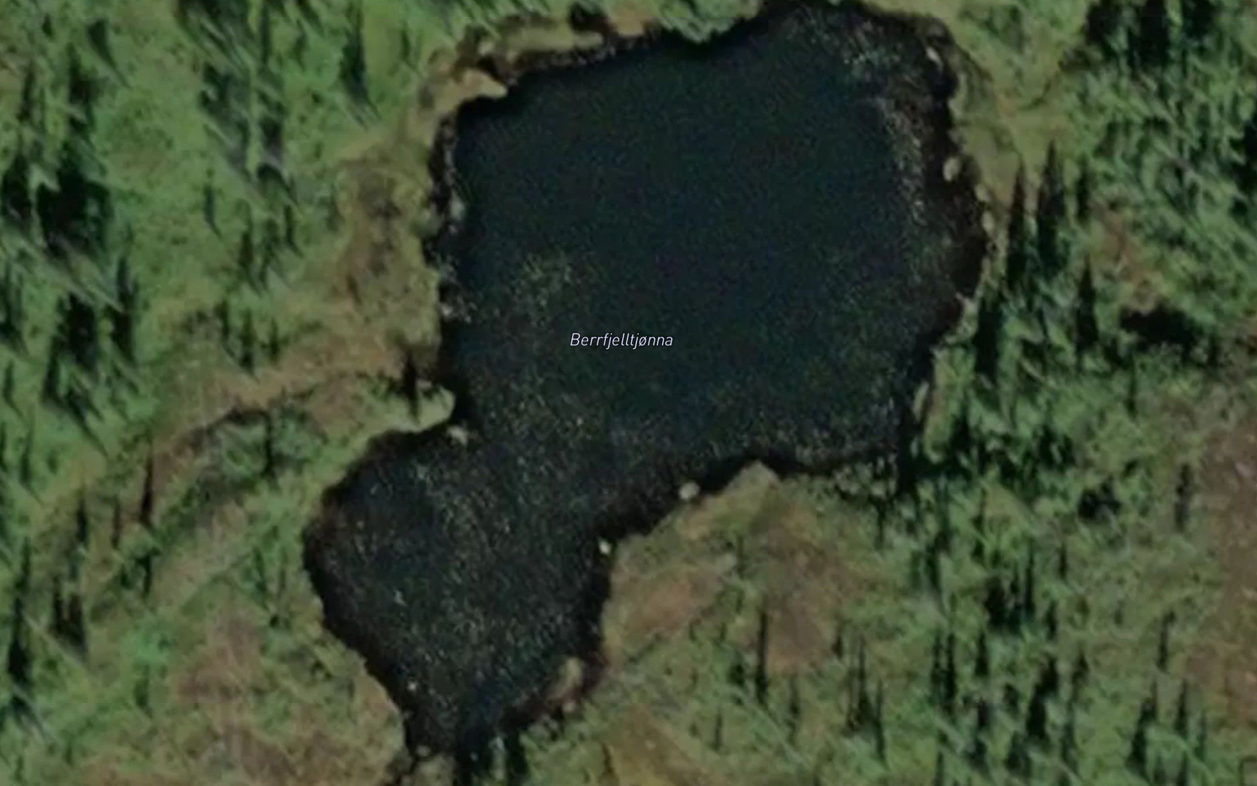 Barfjelltjorna