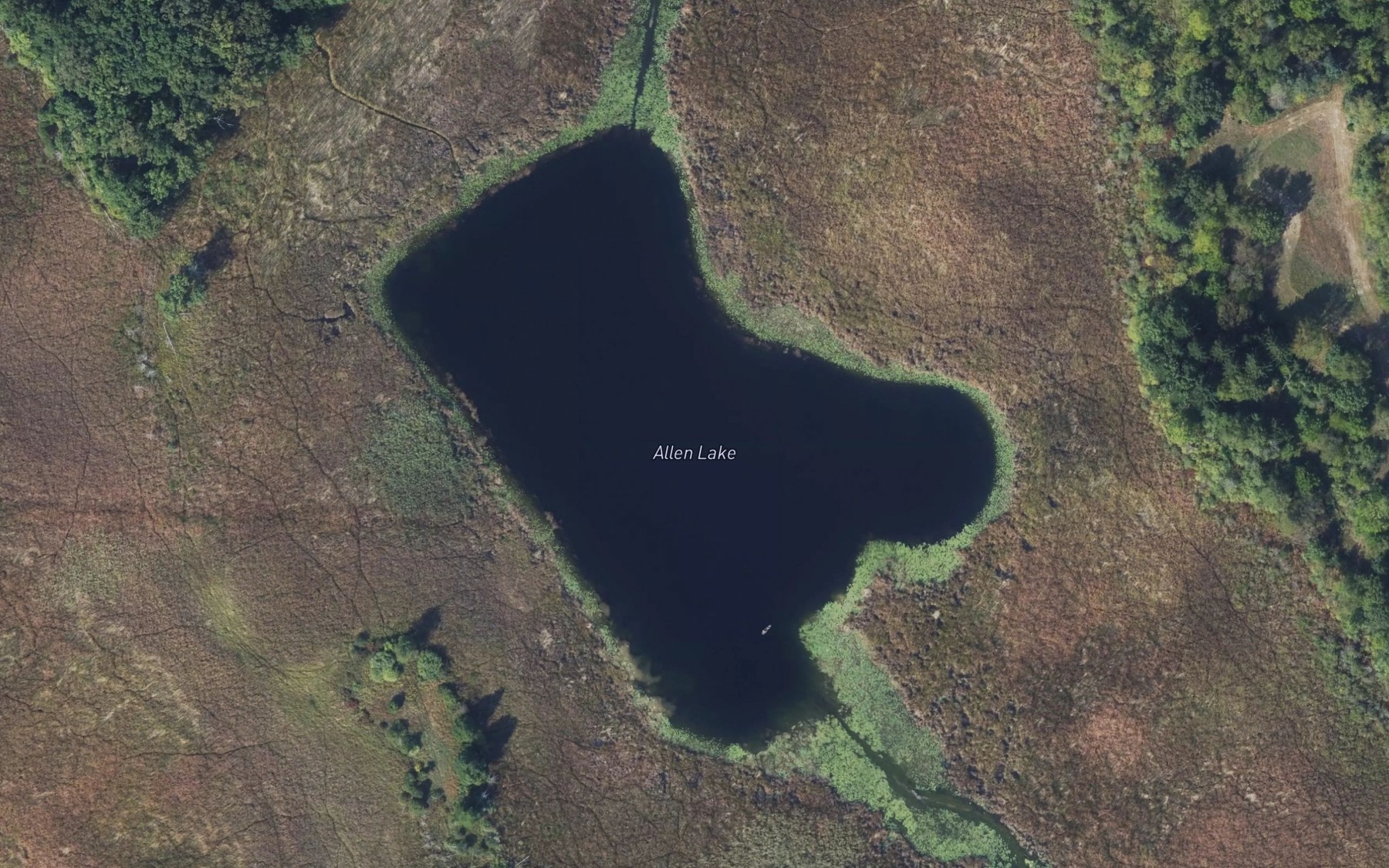 Satellite map of the Allen Lake