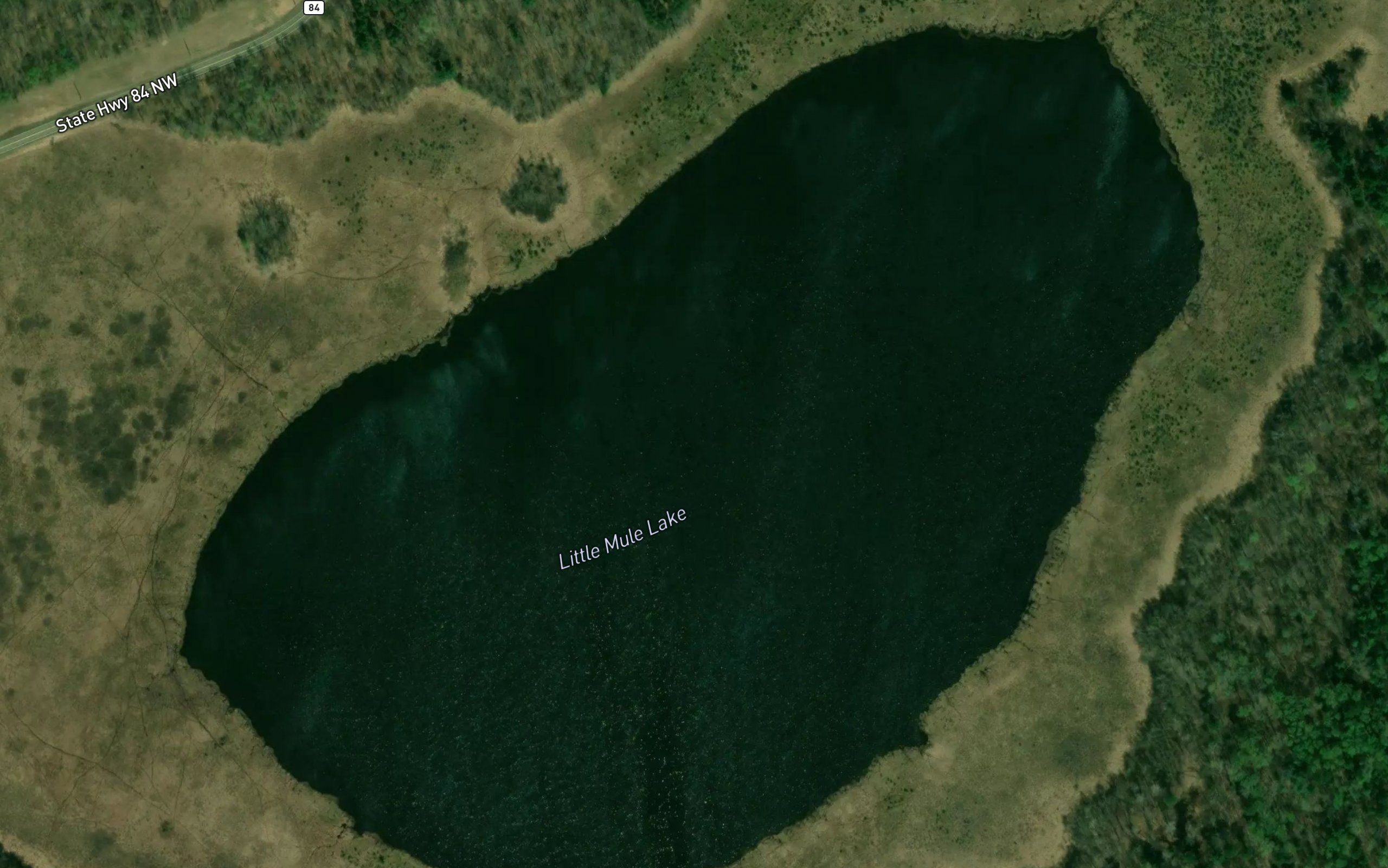 Little Mule Lake