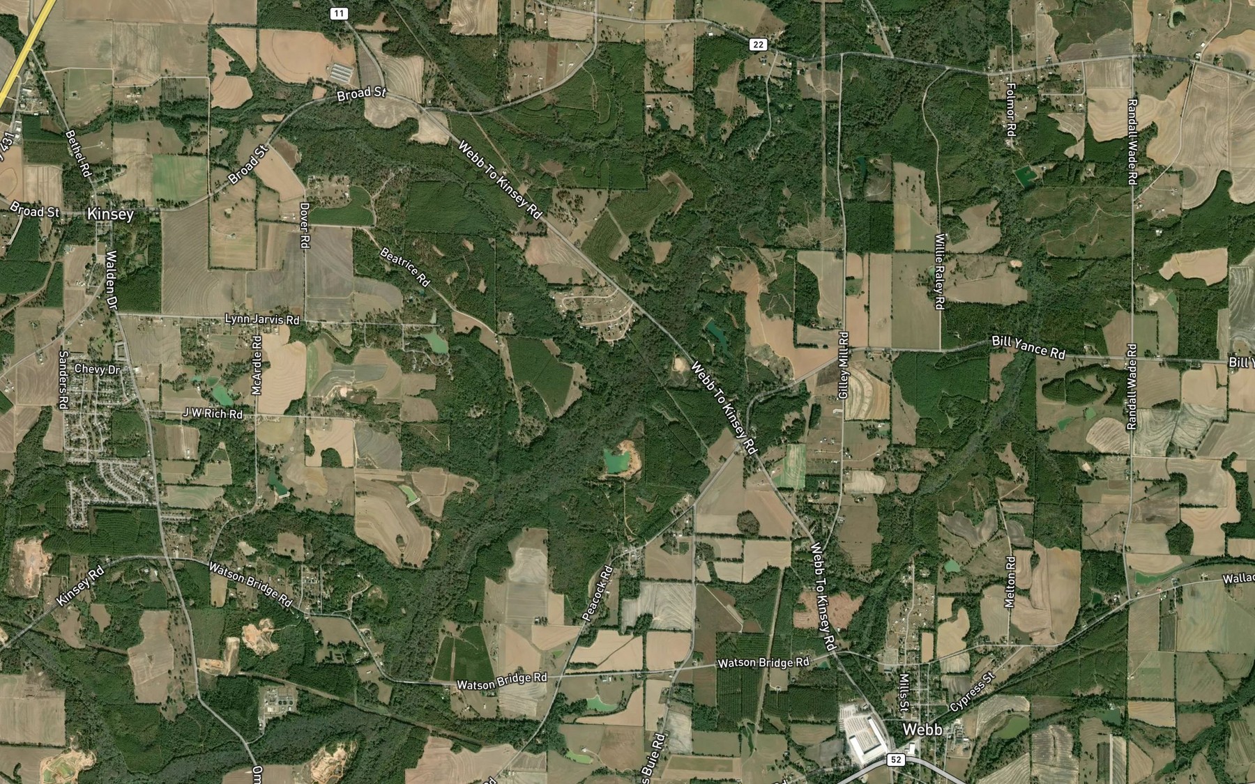 Satellite map of the Long Branch
