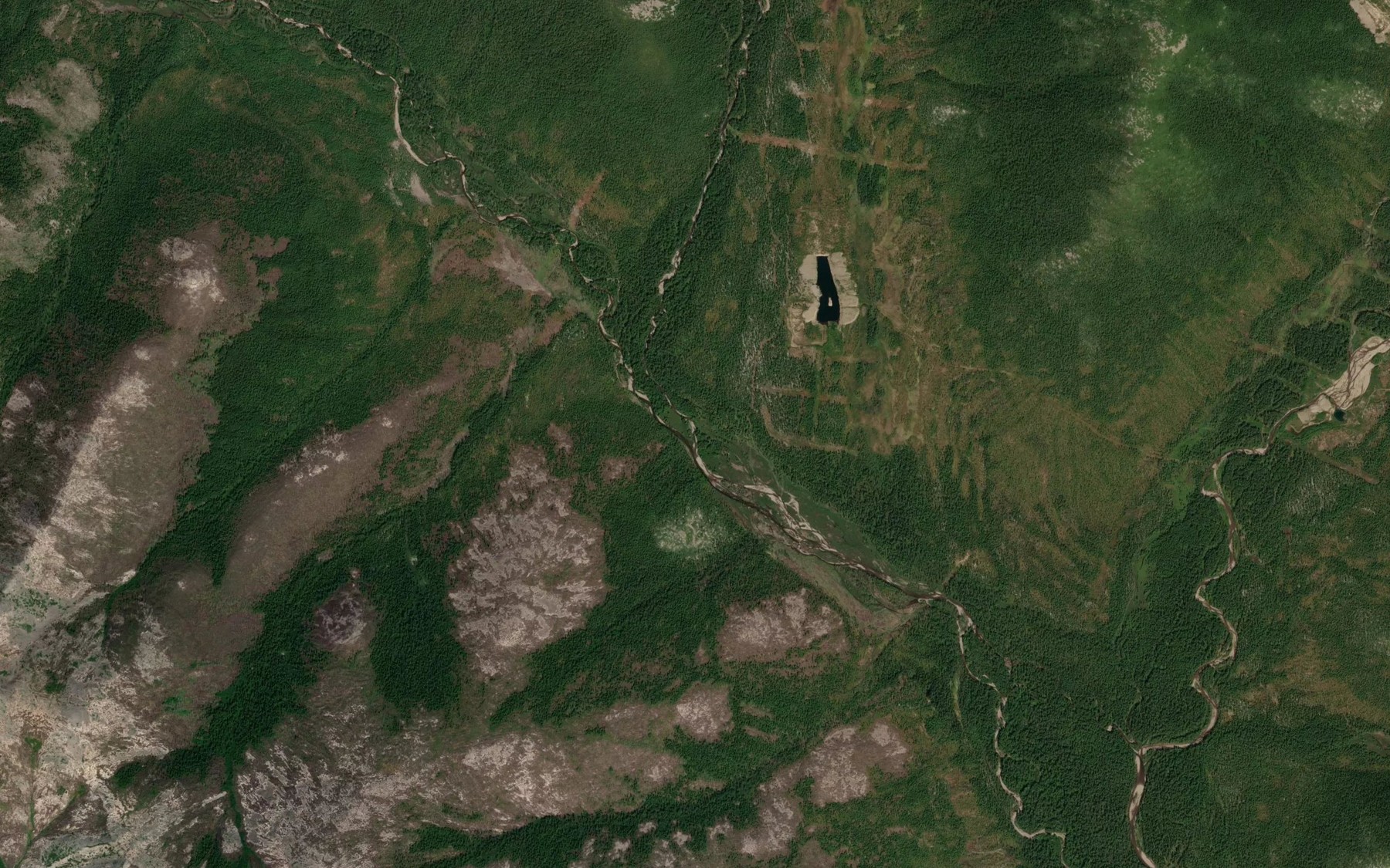 Satellite map of the Kamennyy