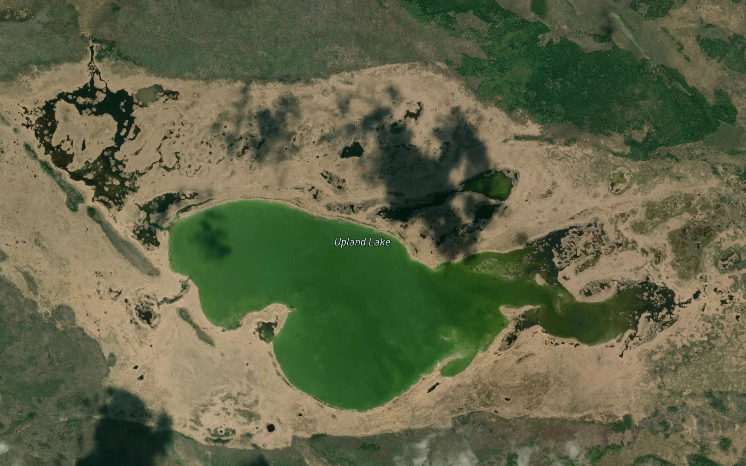 Upland Lake