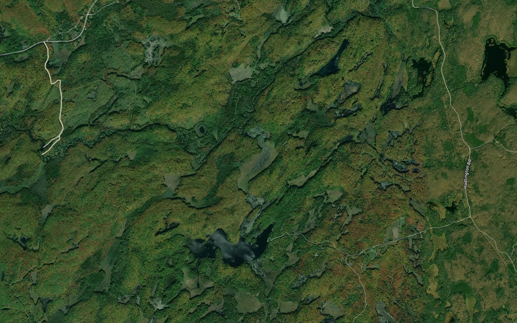 Satellite map of the Hadlington Creek