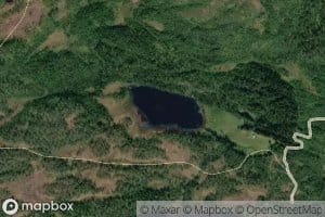 Skratltjorna