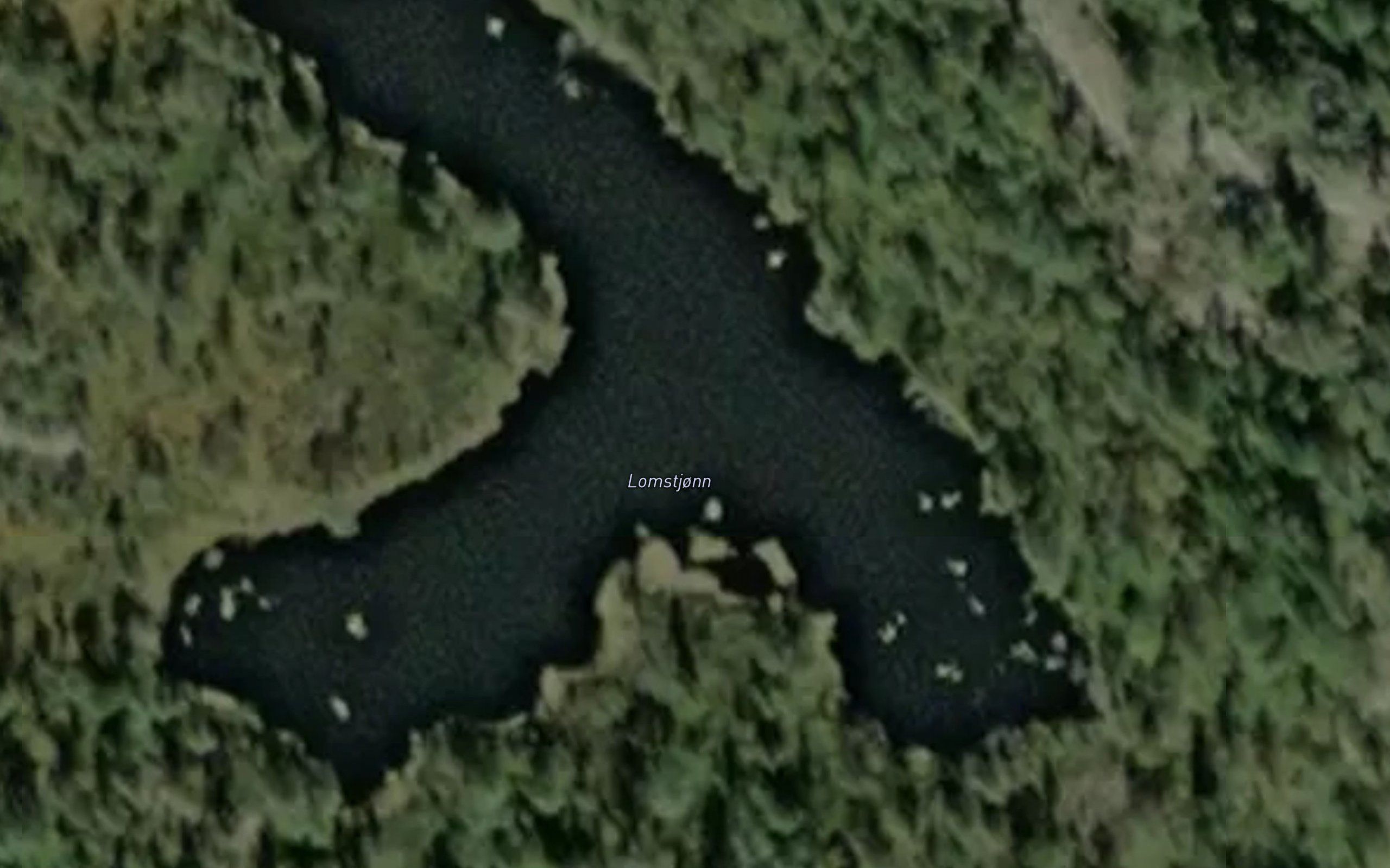 Lomstjonn