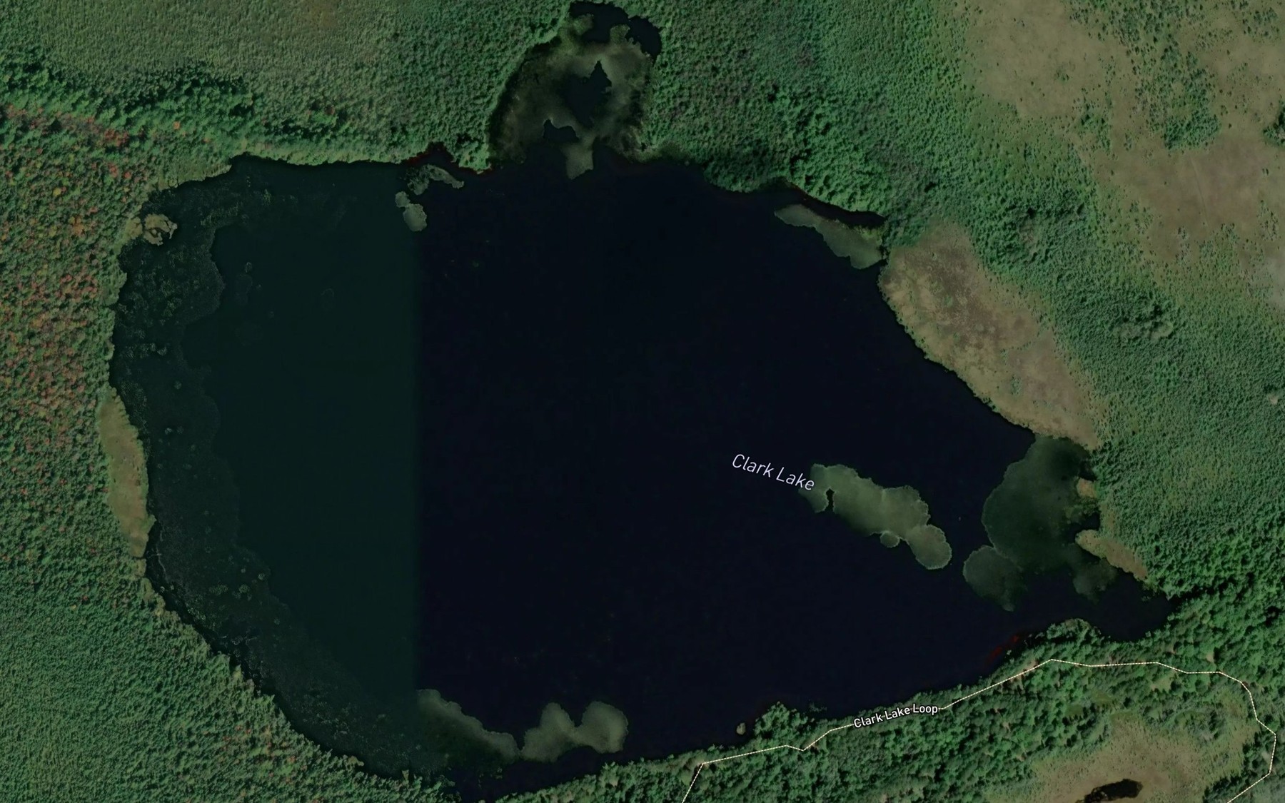 Satellite map of the Clark Lake