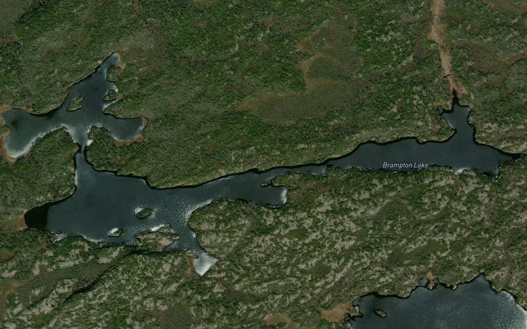 Satellite map of the Brampton Lake