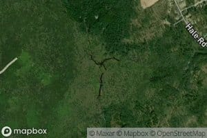 Natty Pond Brook