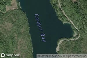 Cougar Bay