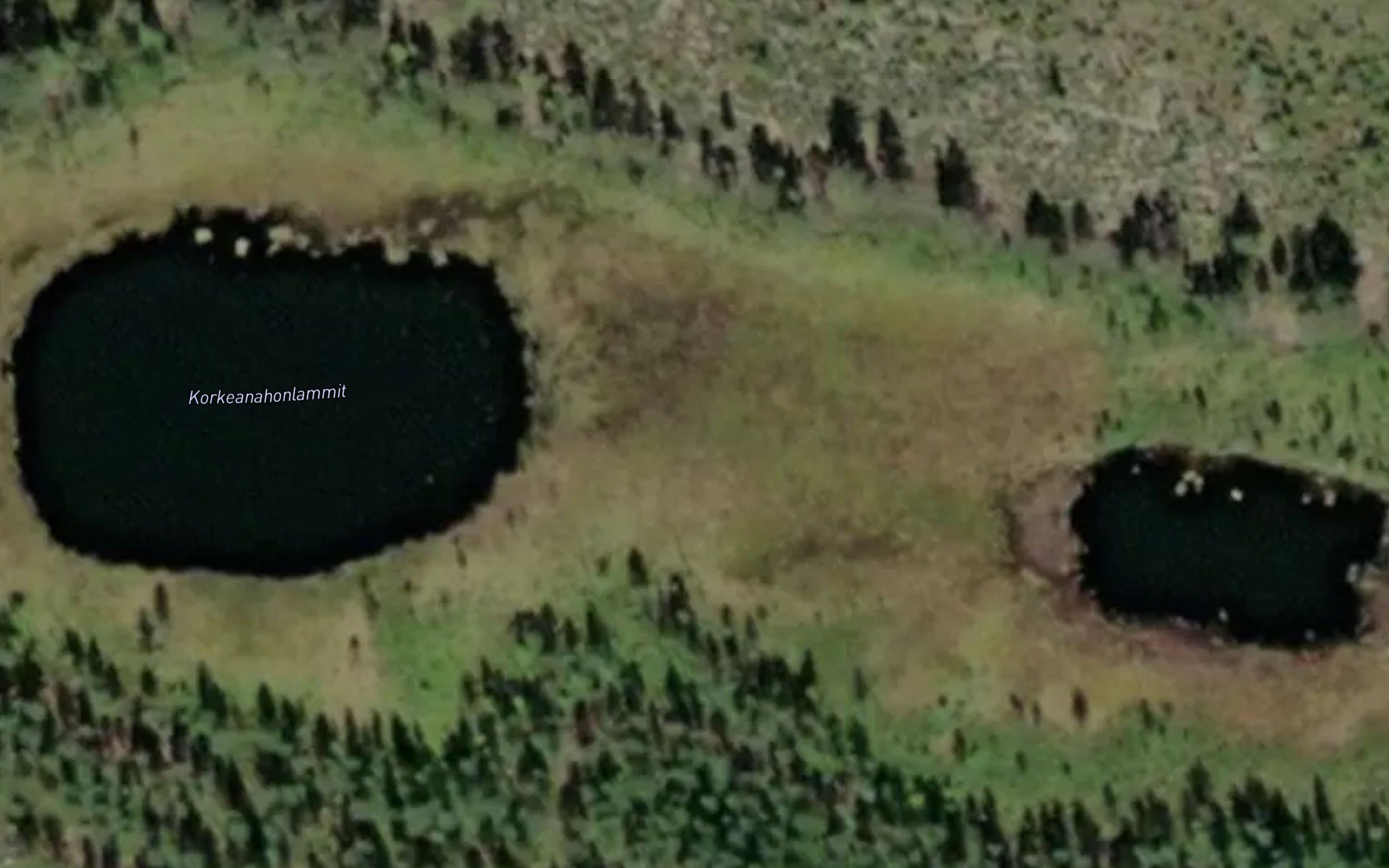 Korkeanahonlammit