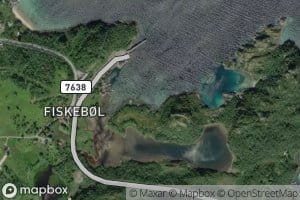 Hankjelvika