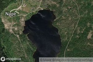 Napetjonn