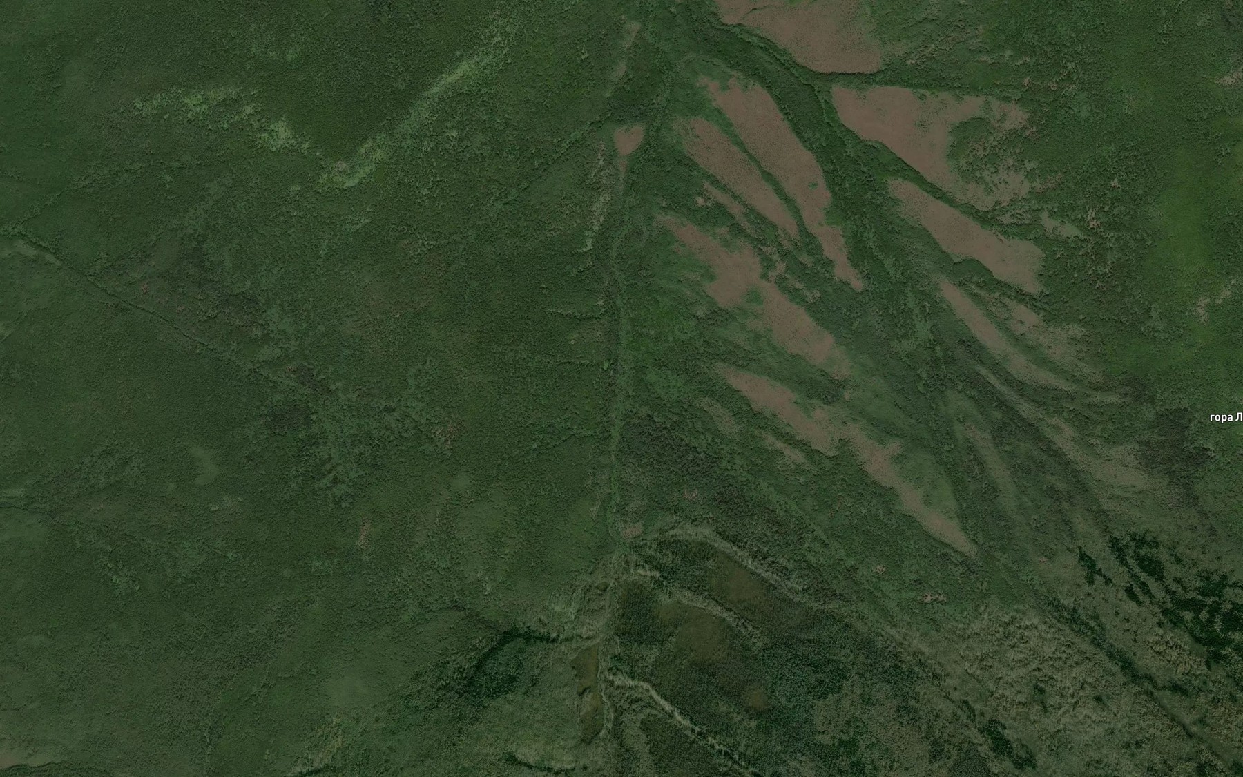 Satellite map of the Muki