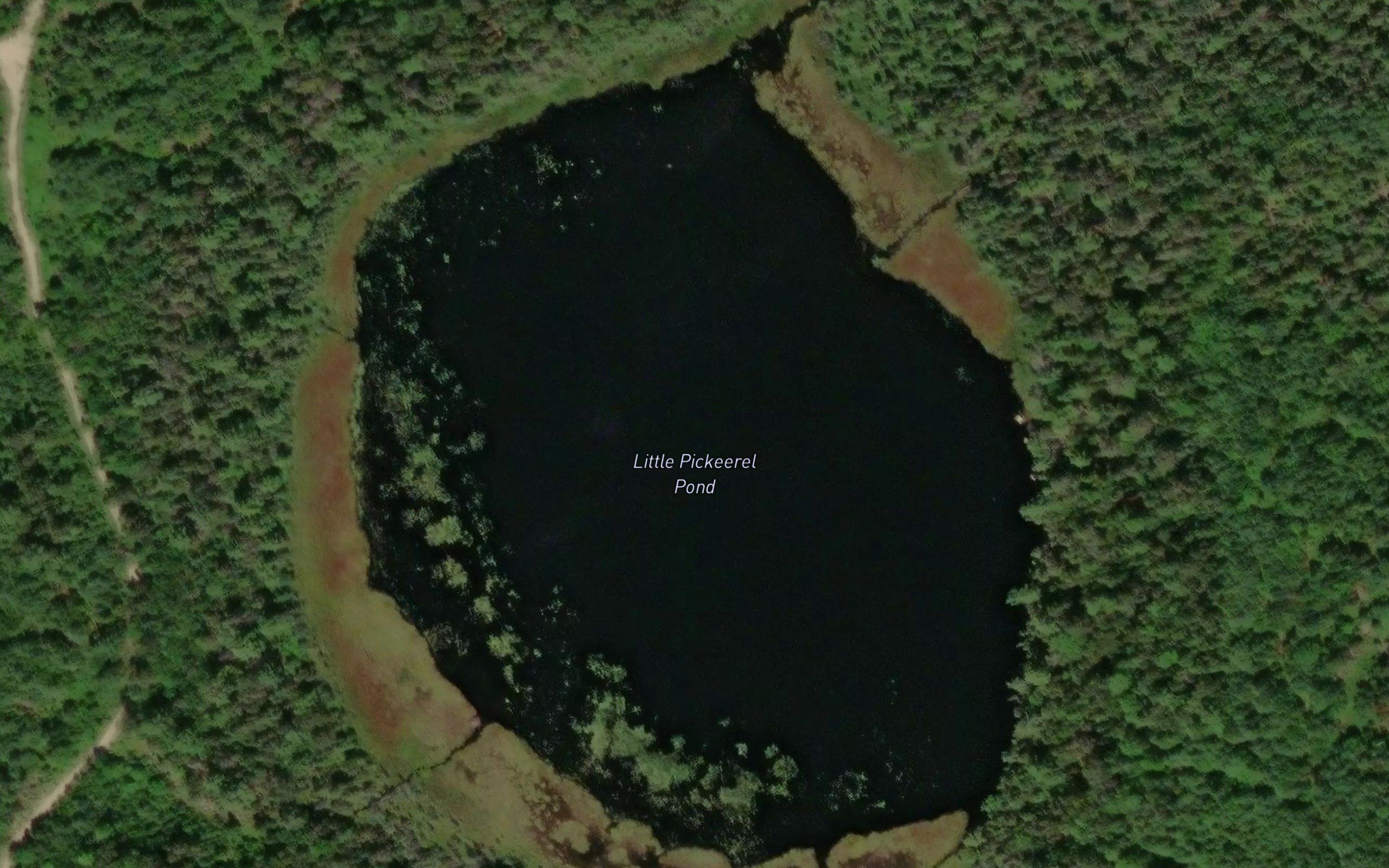 Little Pickerel Pond