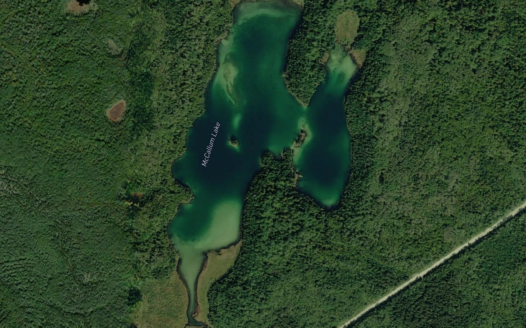 Satellite map of the McCallum Lake