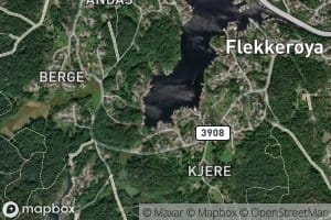 Skjevetreane