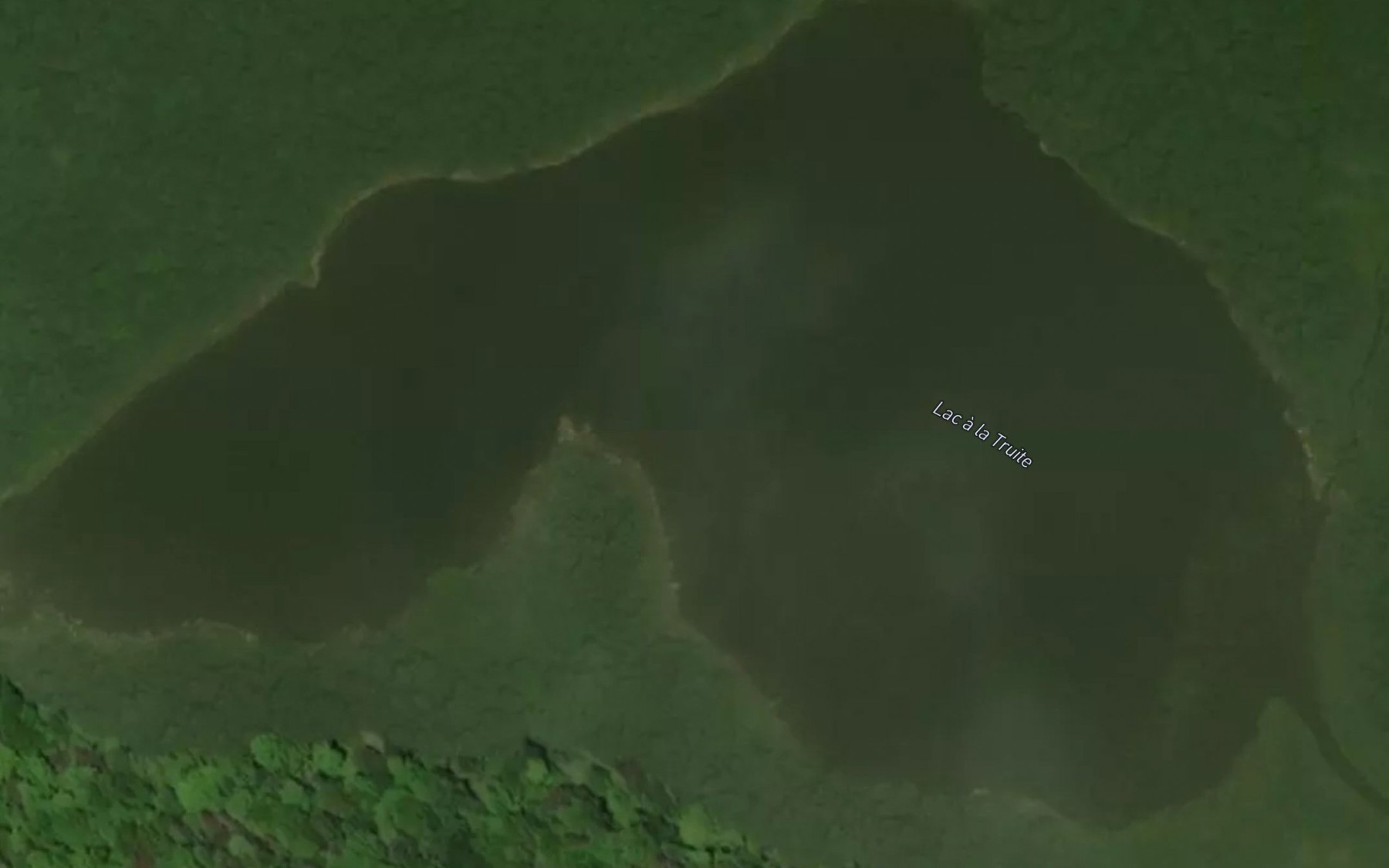Satellite map of the Lac a la Truite