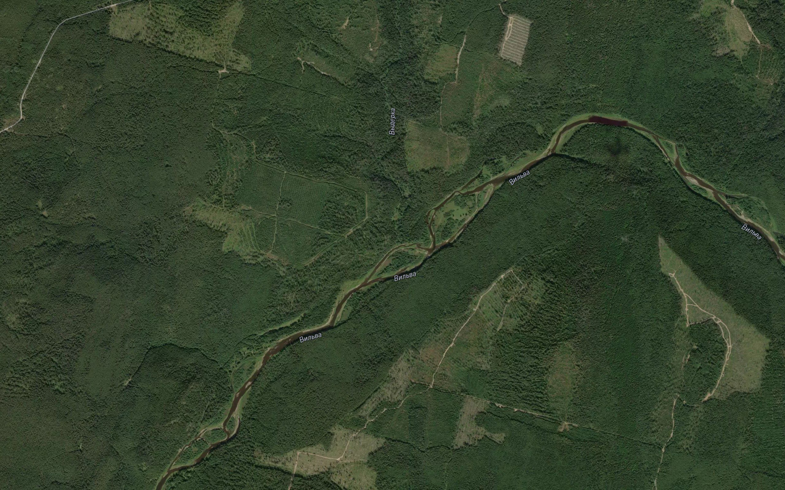 Vyderka