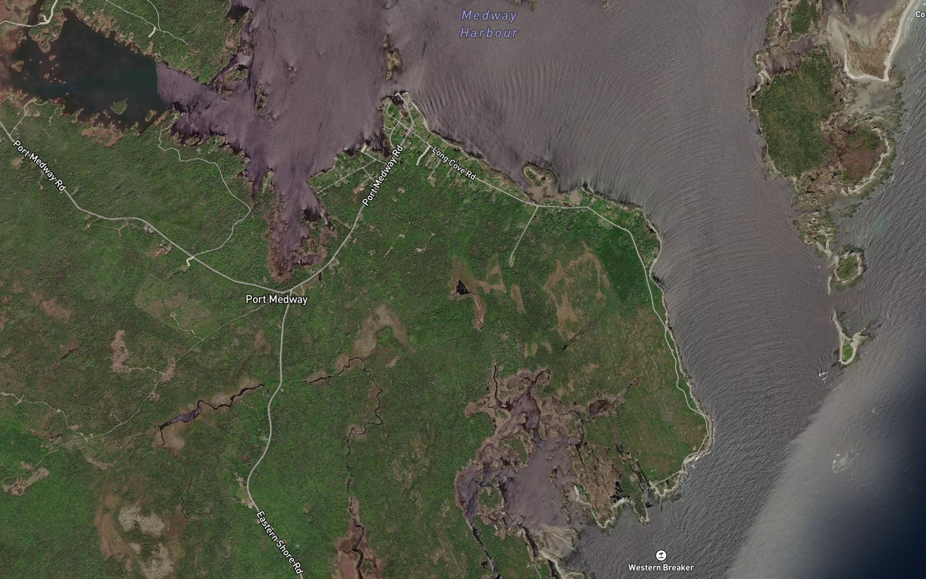 Satellite map of the Lily Pond
