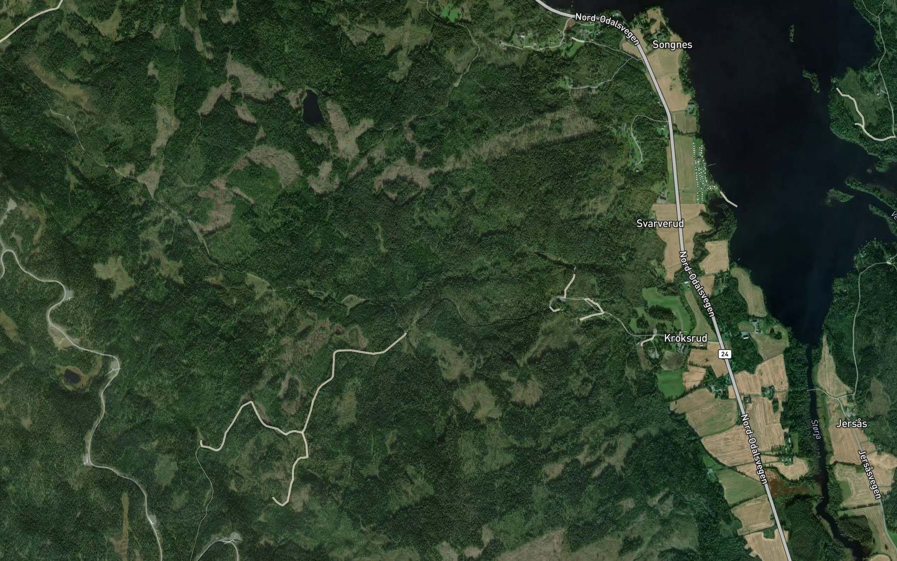 Satellite map of the Songa