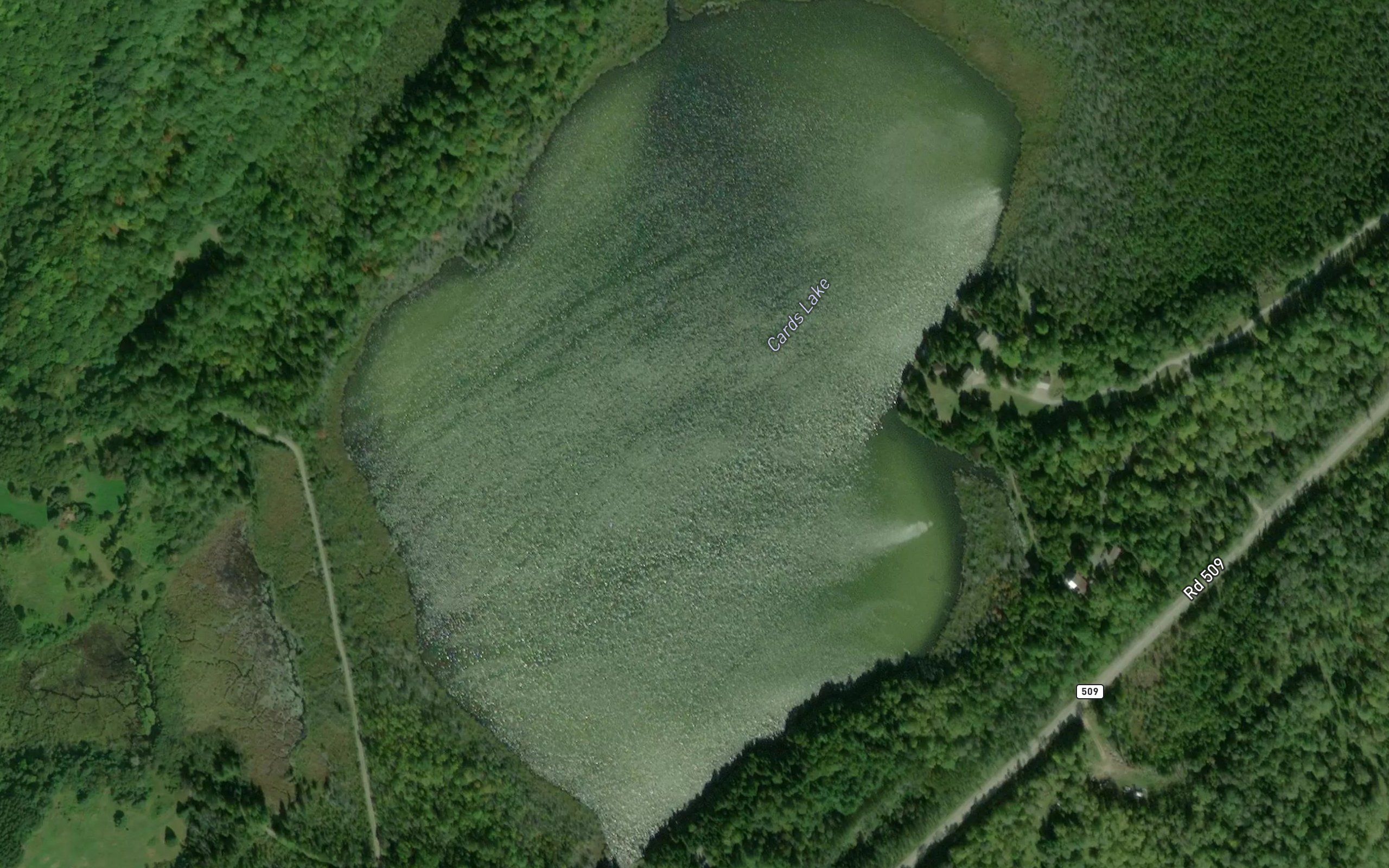 Cards Lake
