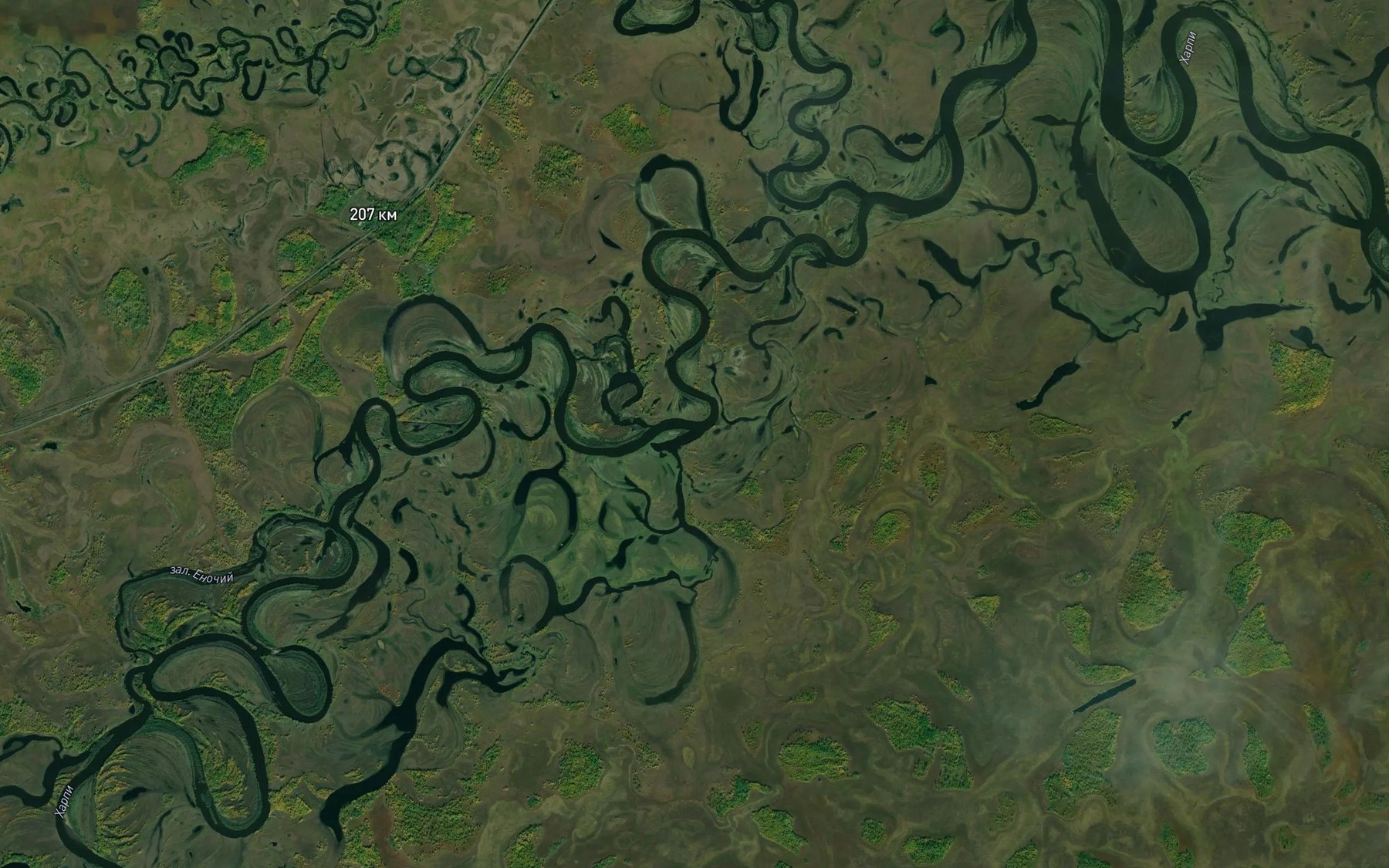 Satellite map of the Zaliv Nanayskiy