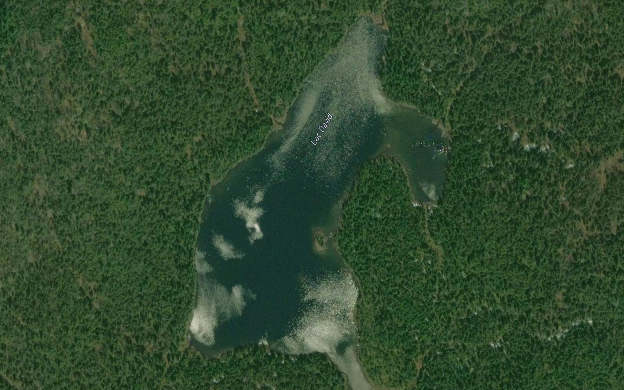 Lac David