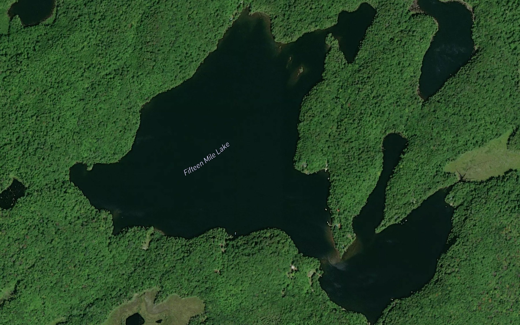 Satellite map of the Fifteen Mile Lake