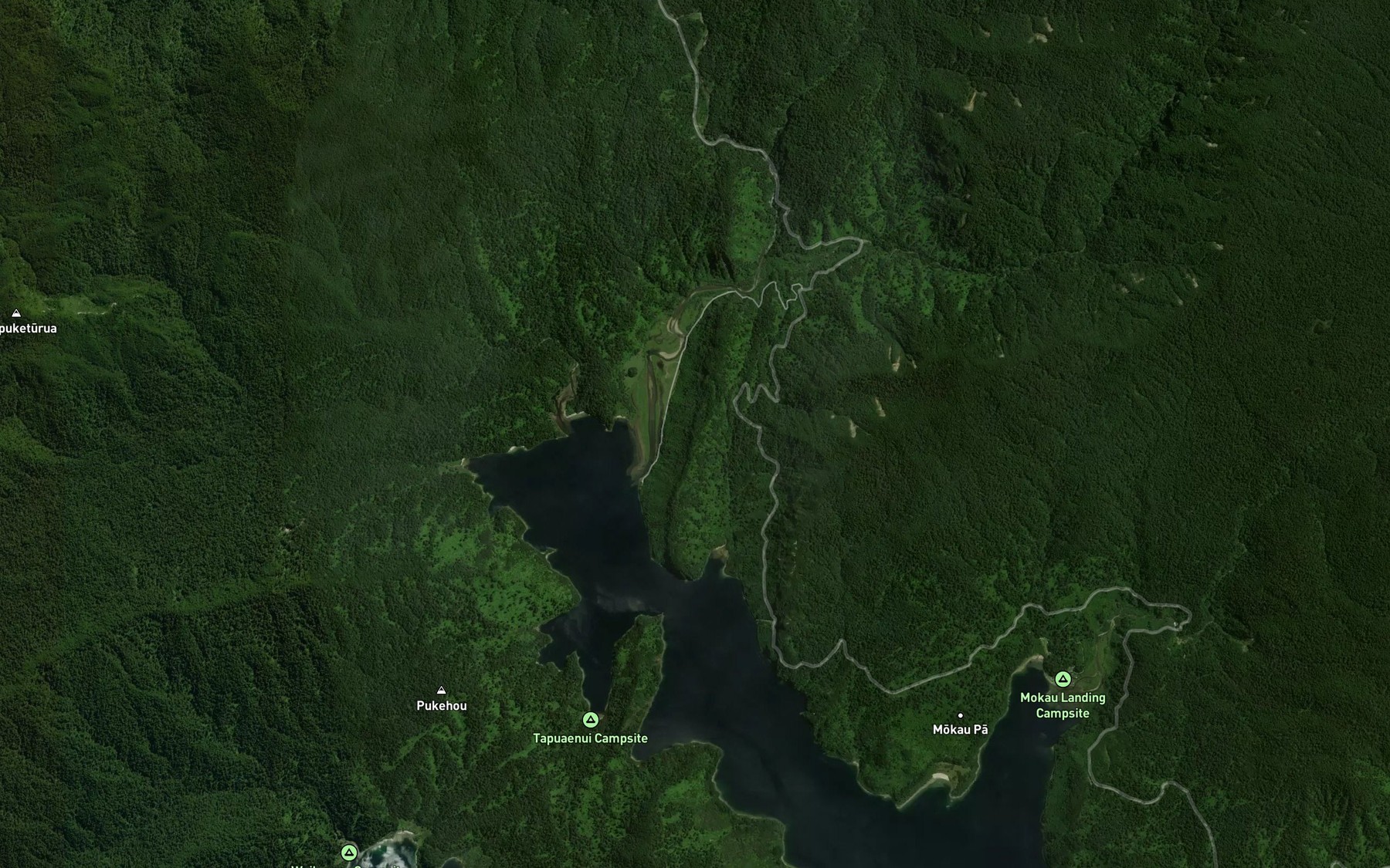 Satellite map of the Apiti Stream
