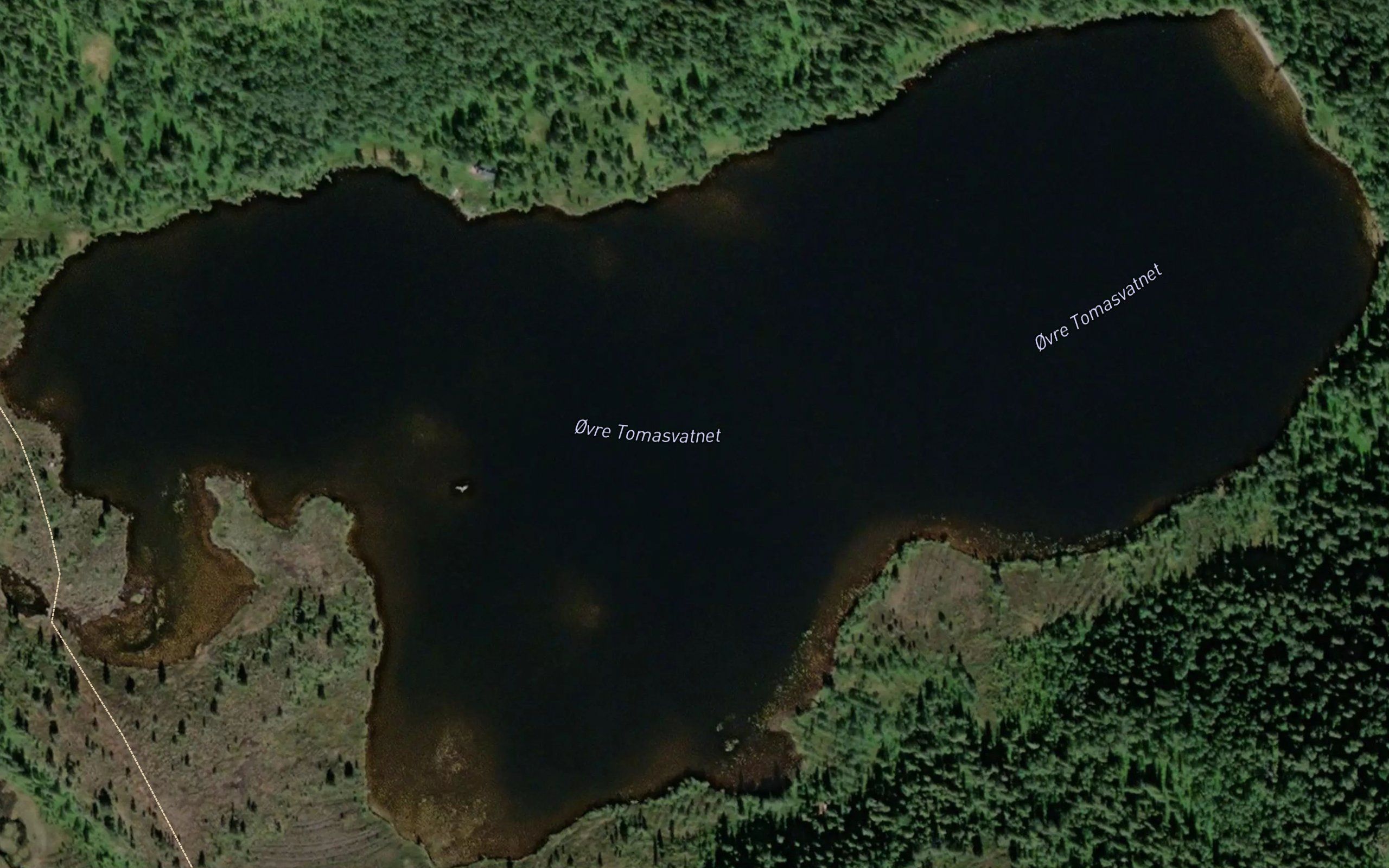 Ovre Tomasvatnet