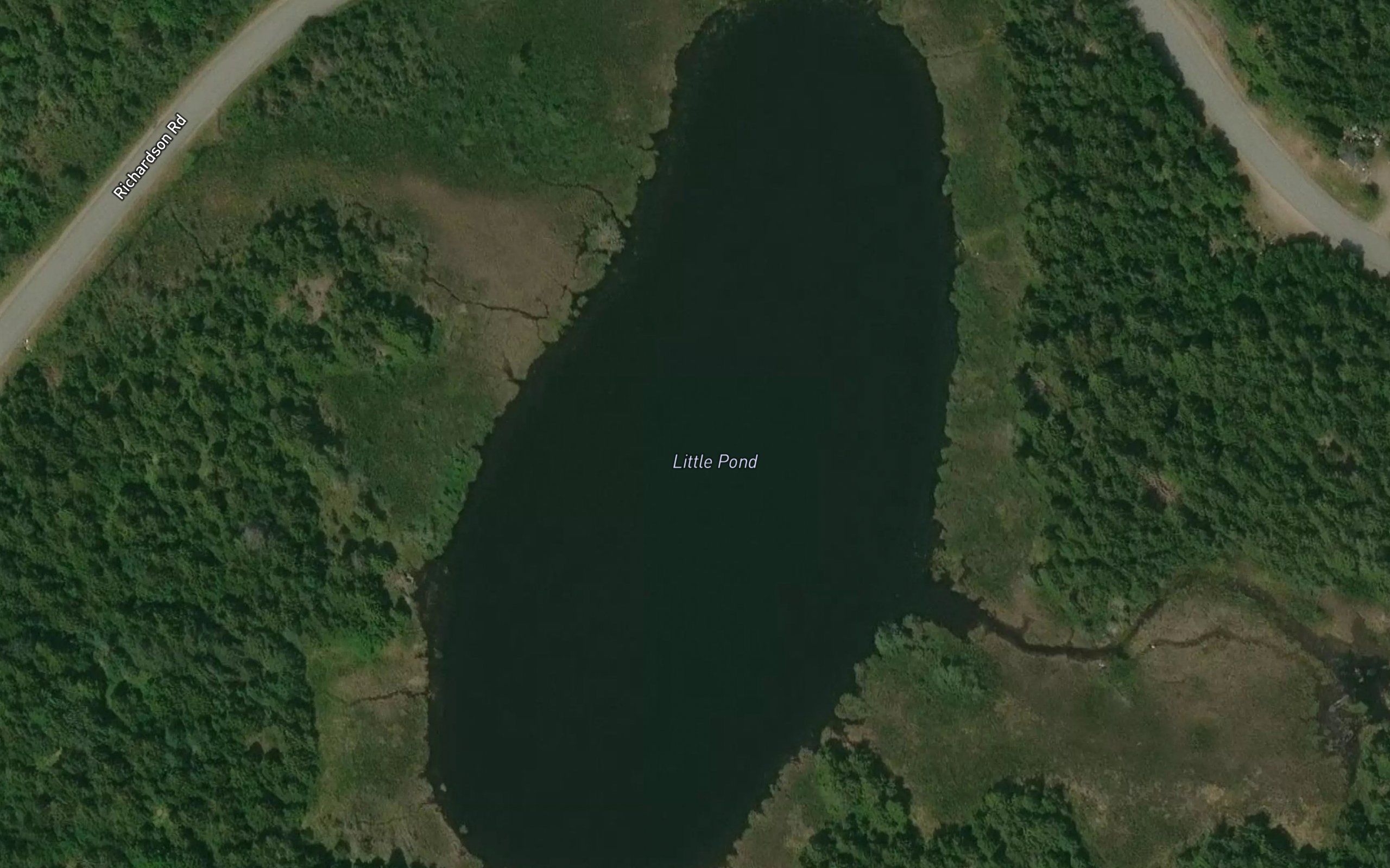Little Pond