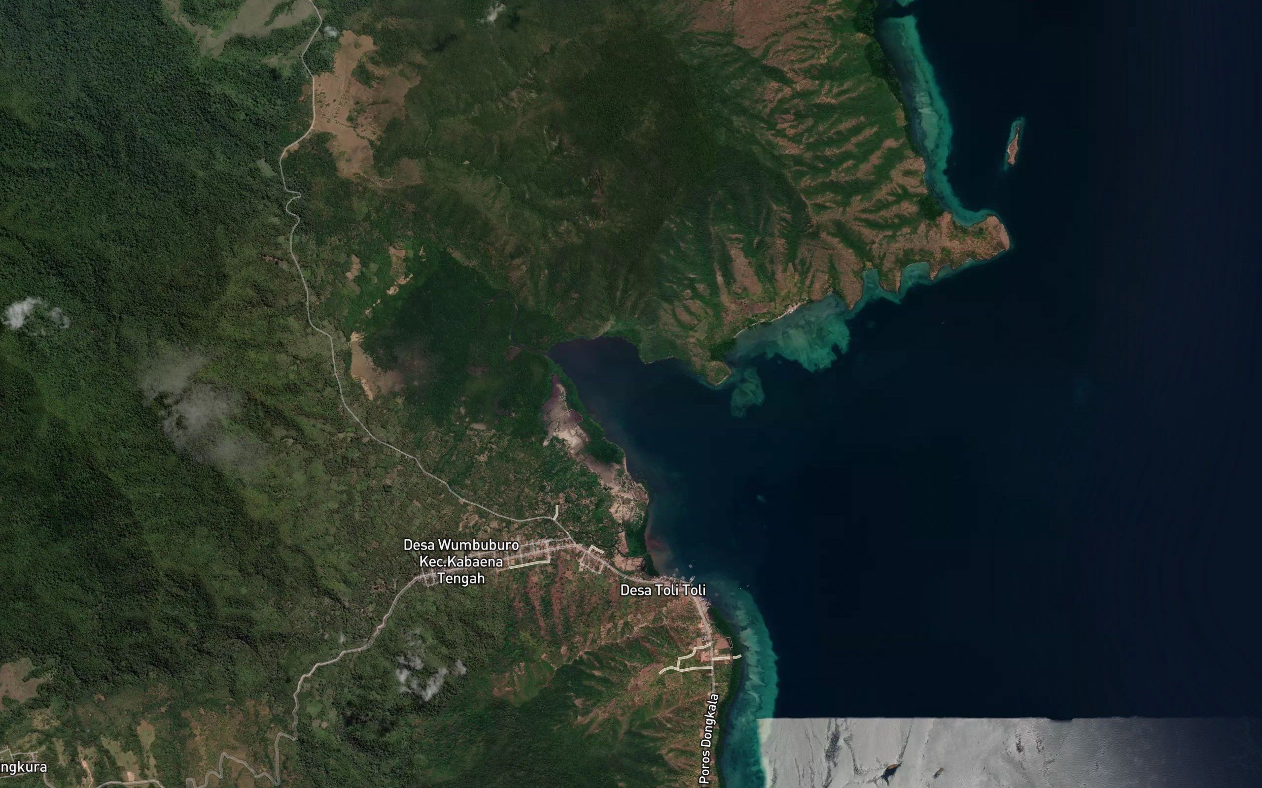 Teluk Belulupi
