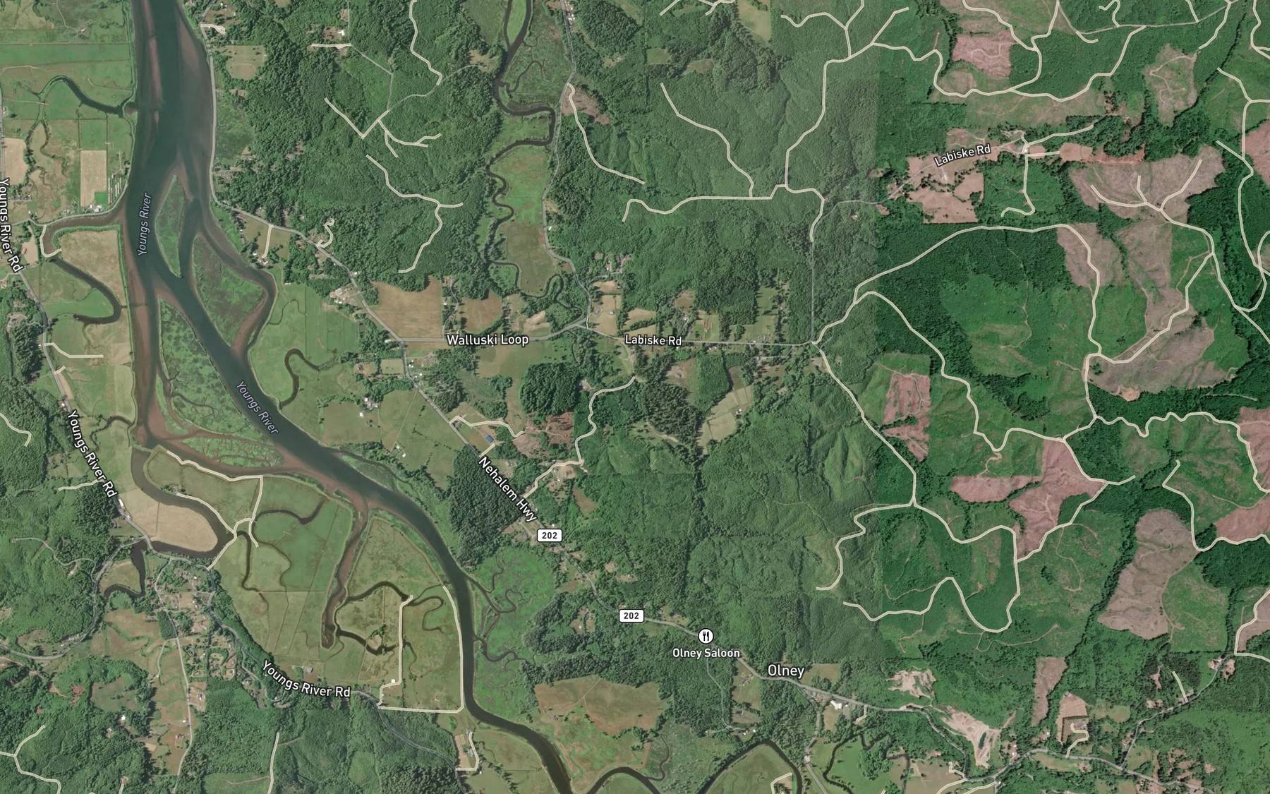 Satellite map of the Pearse Creek